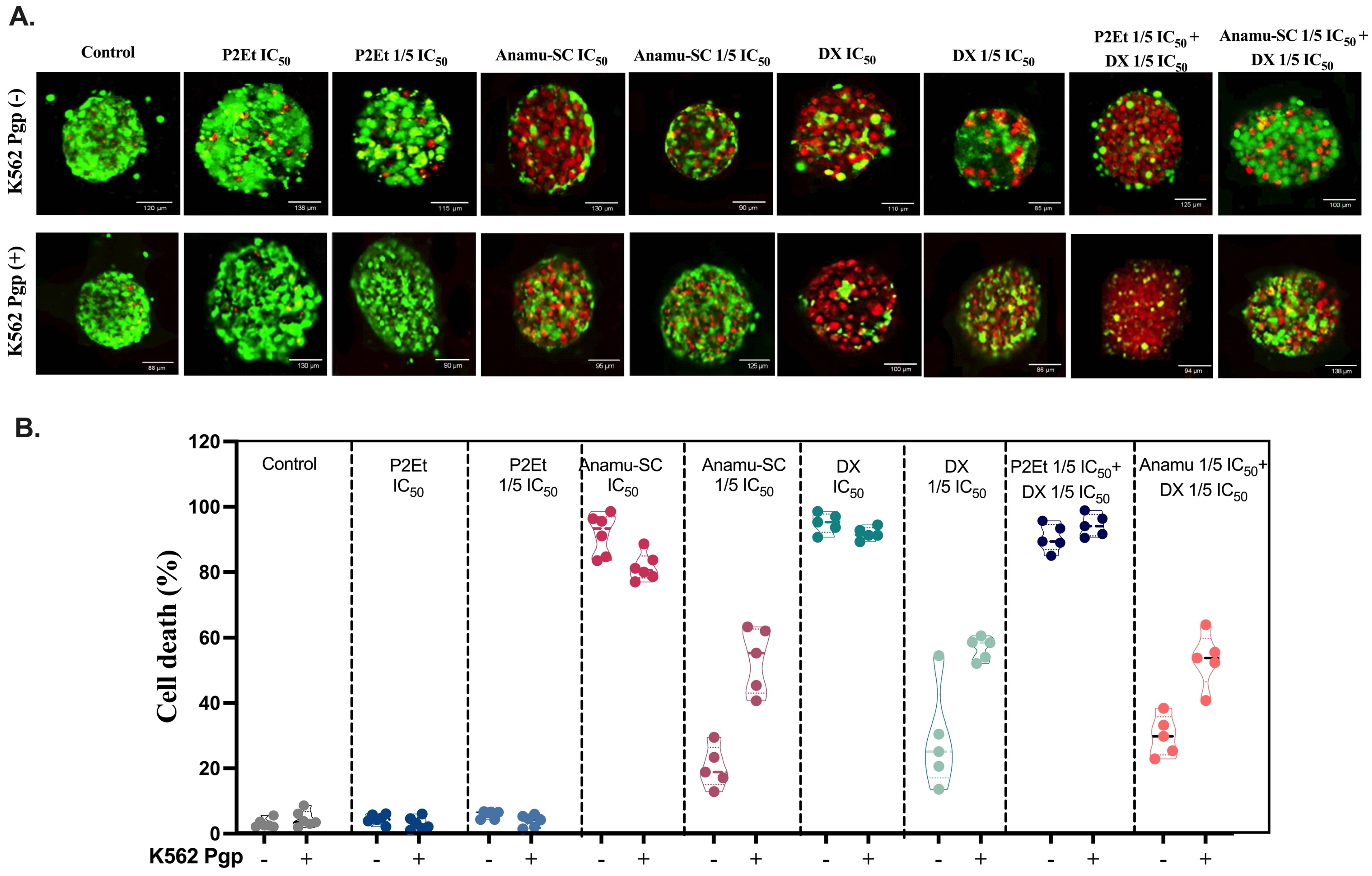 Pharmaceutics 15 01690 g003 Pharmaceutics 15 01690 g003