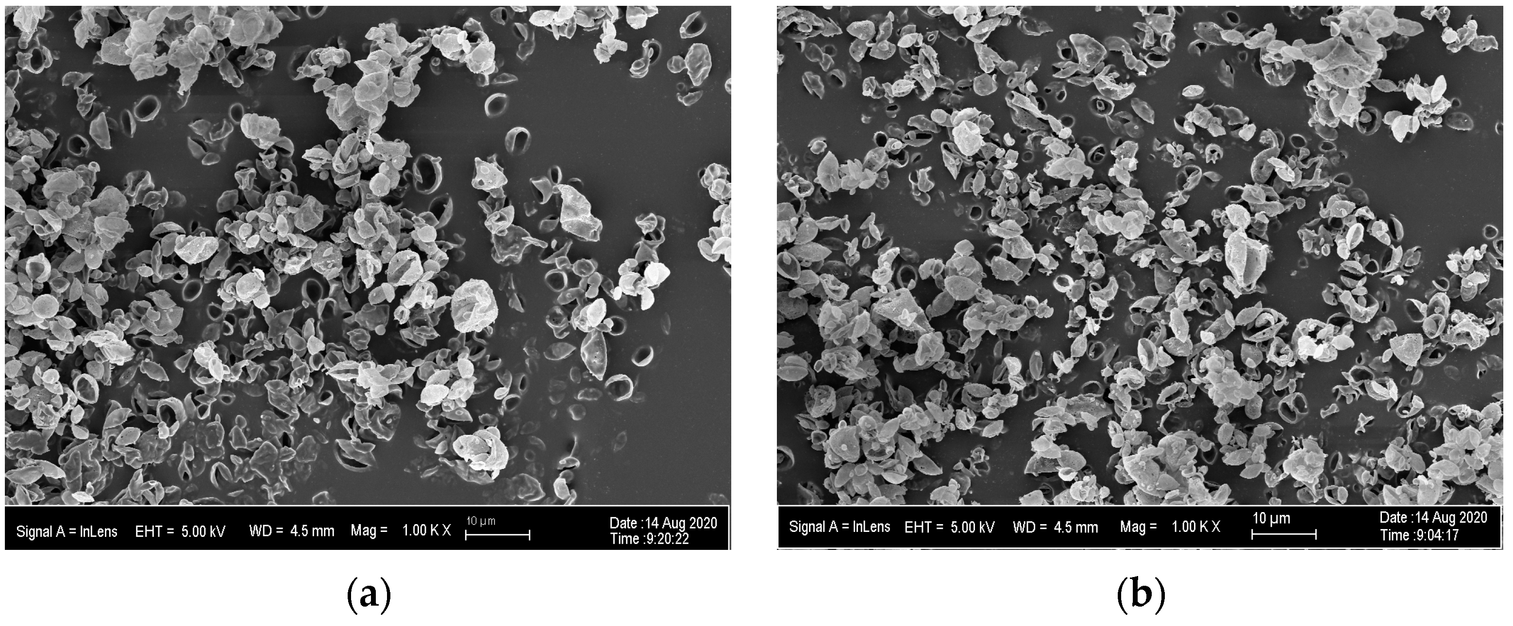 Pharmaceutics 15 01695 g002