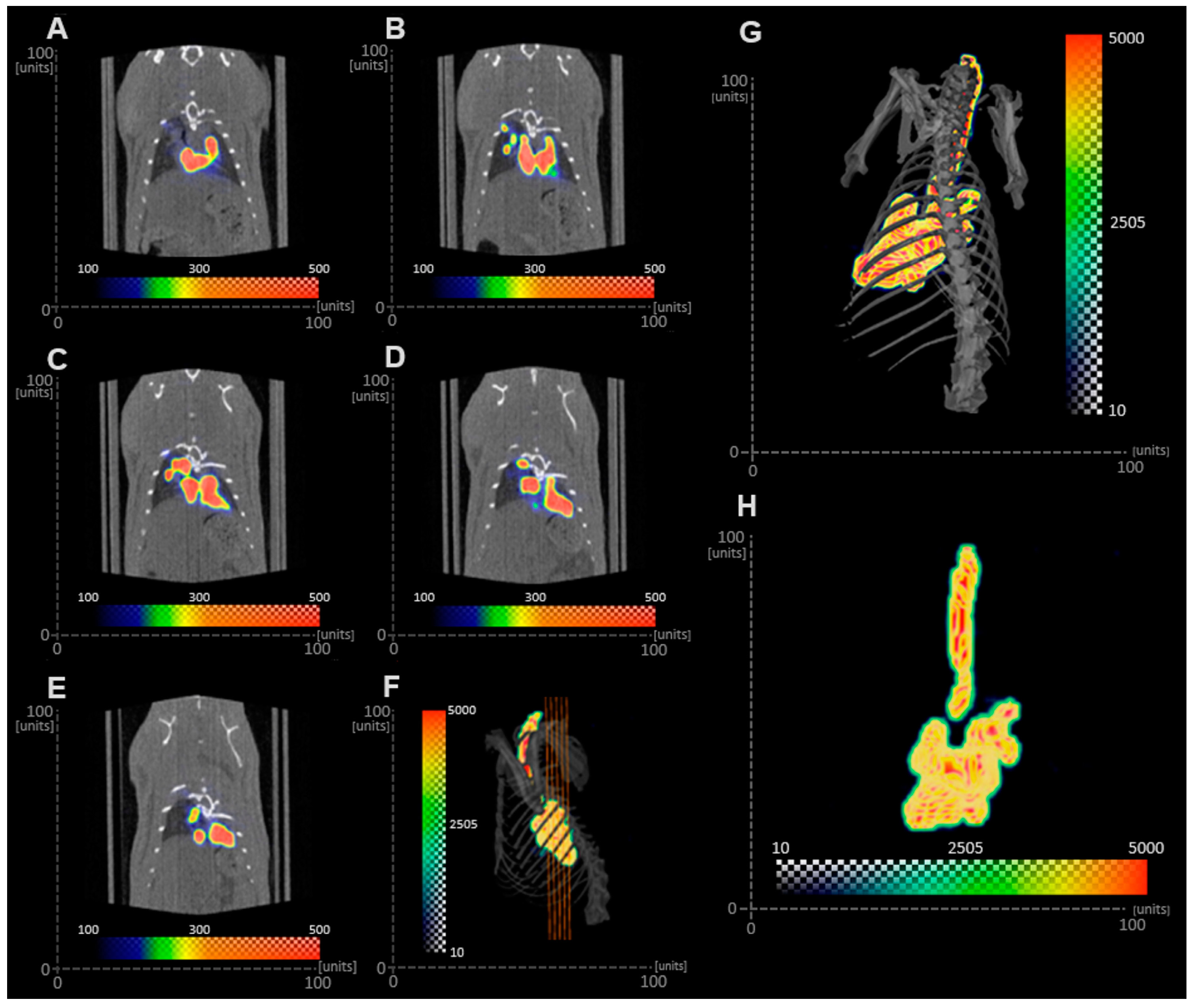 Pharmaceutics 15 01695 g008