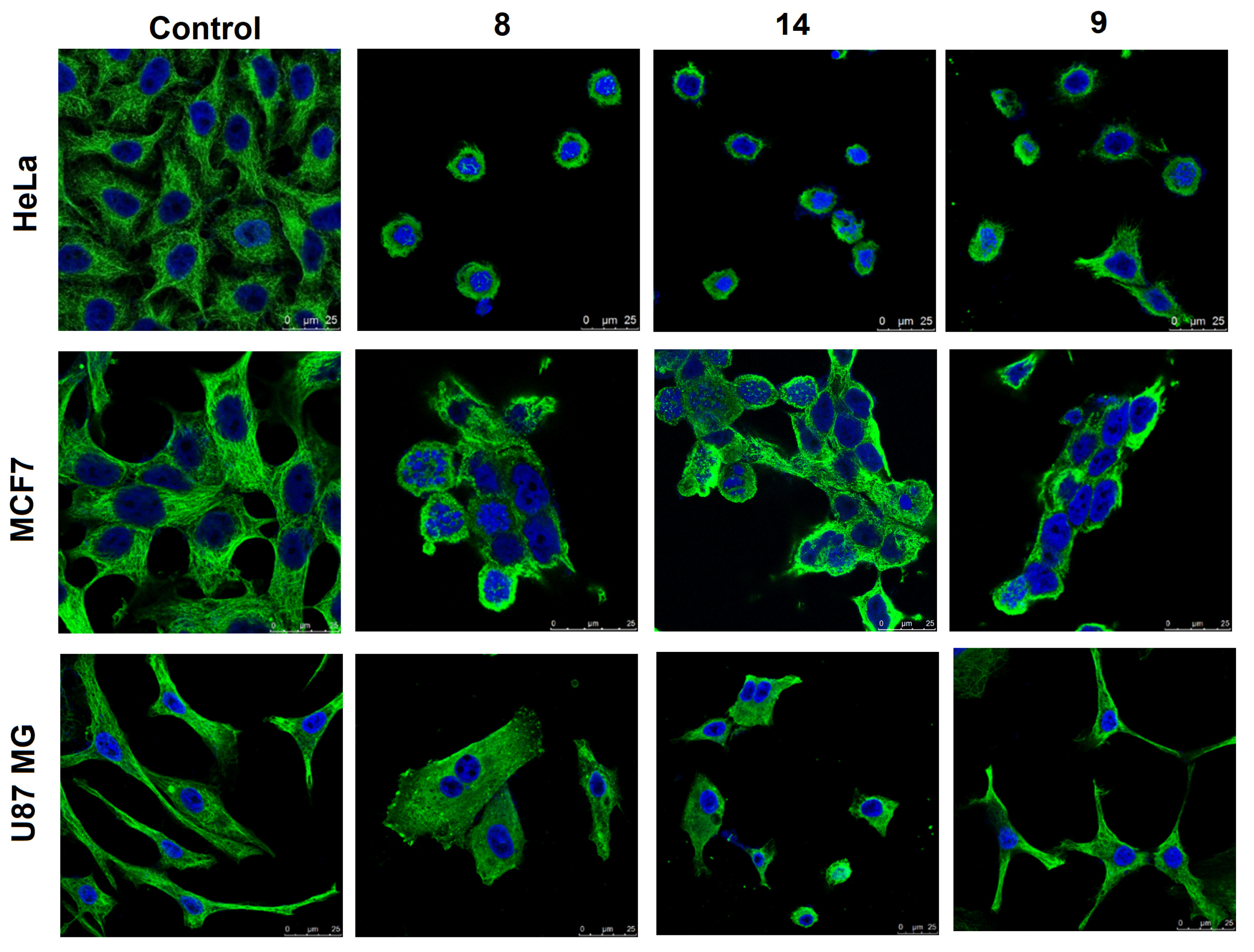 Pharmaceutics 15 01698 g003 Pharmaceutics 15 01698 g003