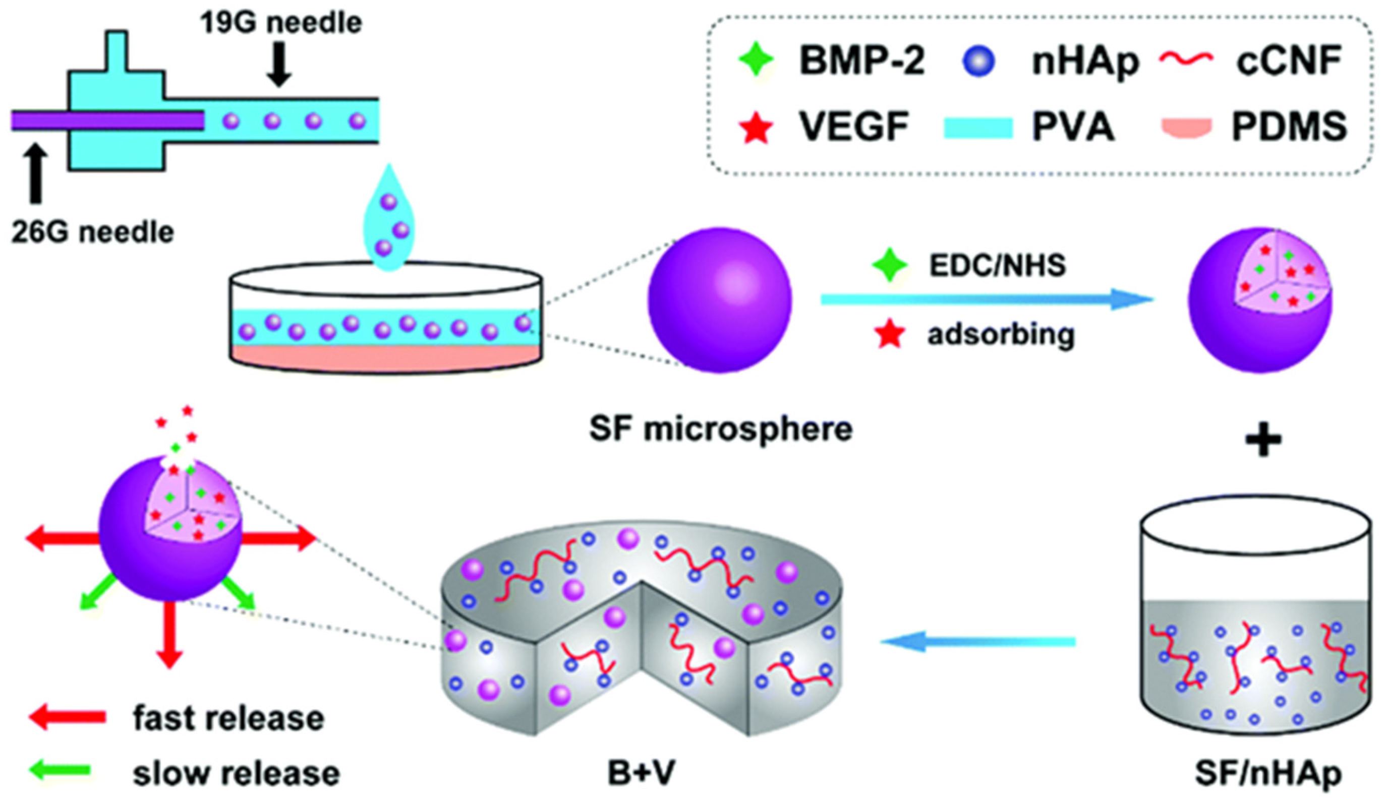 Pharmaceutics 15 01700 g001
