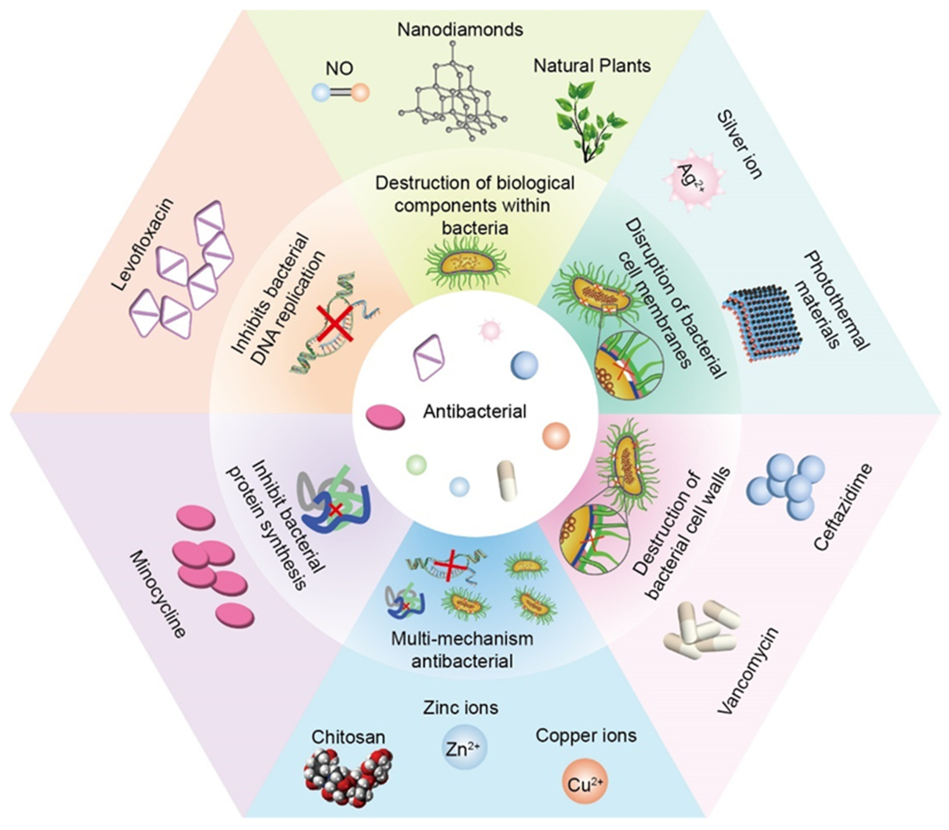 Pharmaceutics 15 01700 g004
