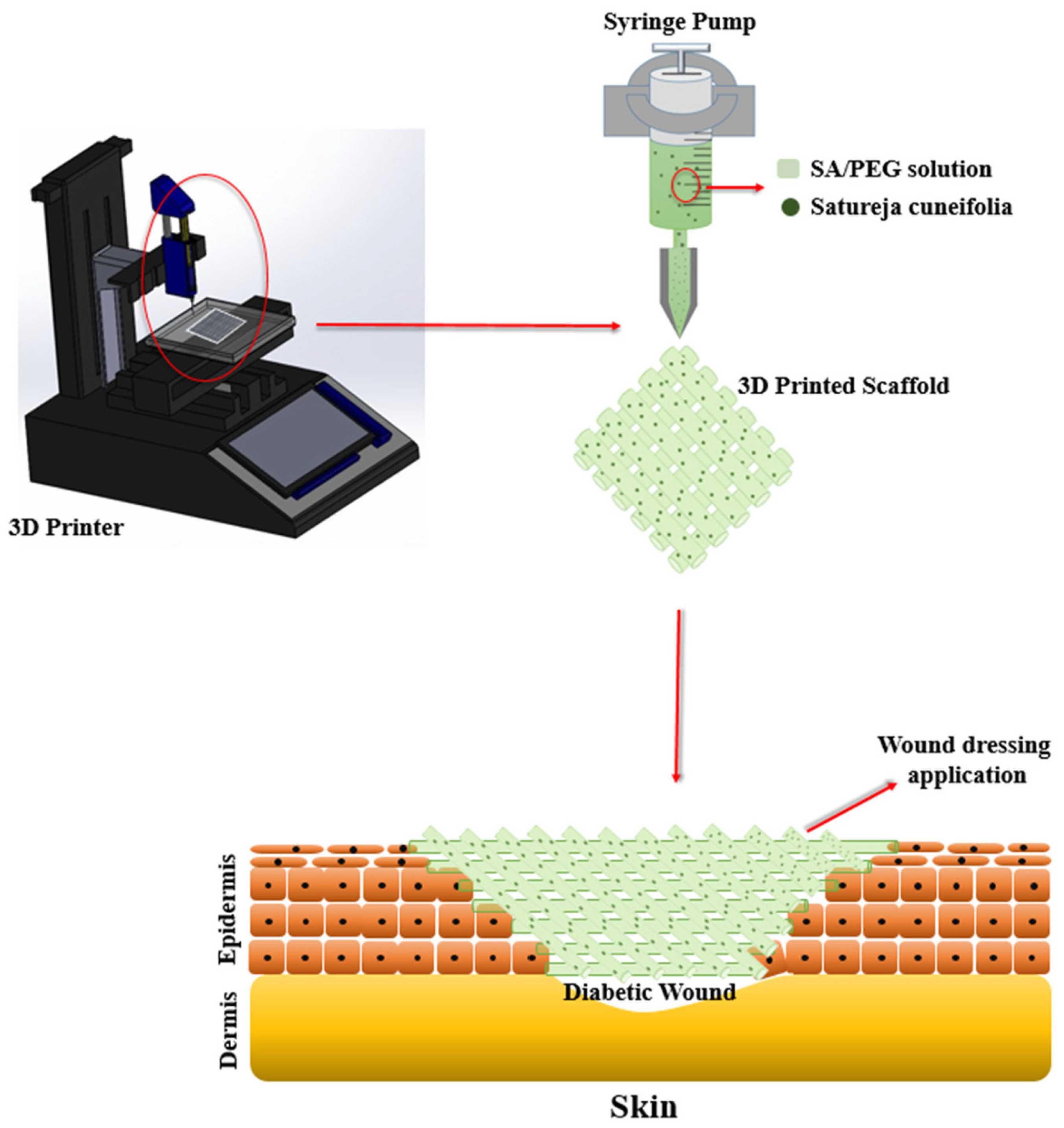 Pharmaceutics 15 01700 g006