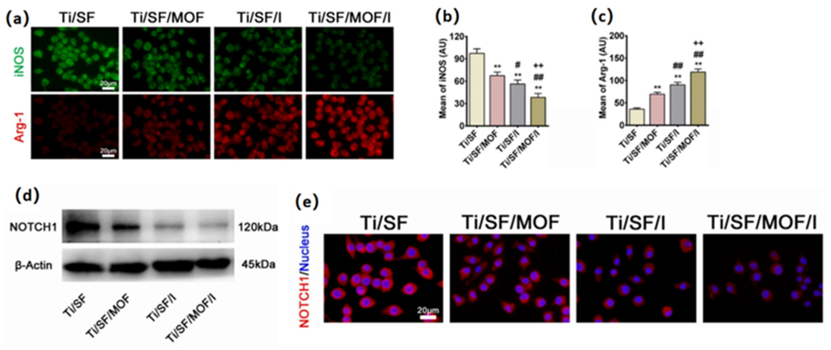 Pharmaceutics 15 01700 g010