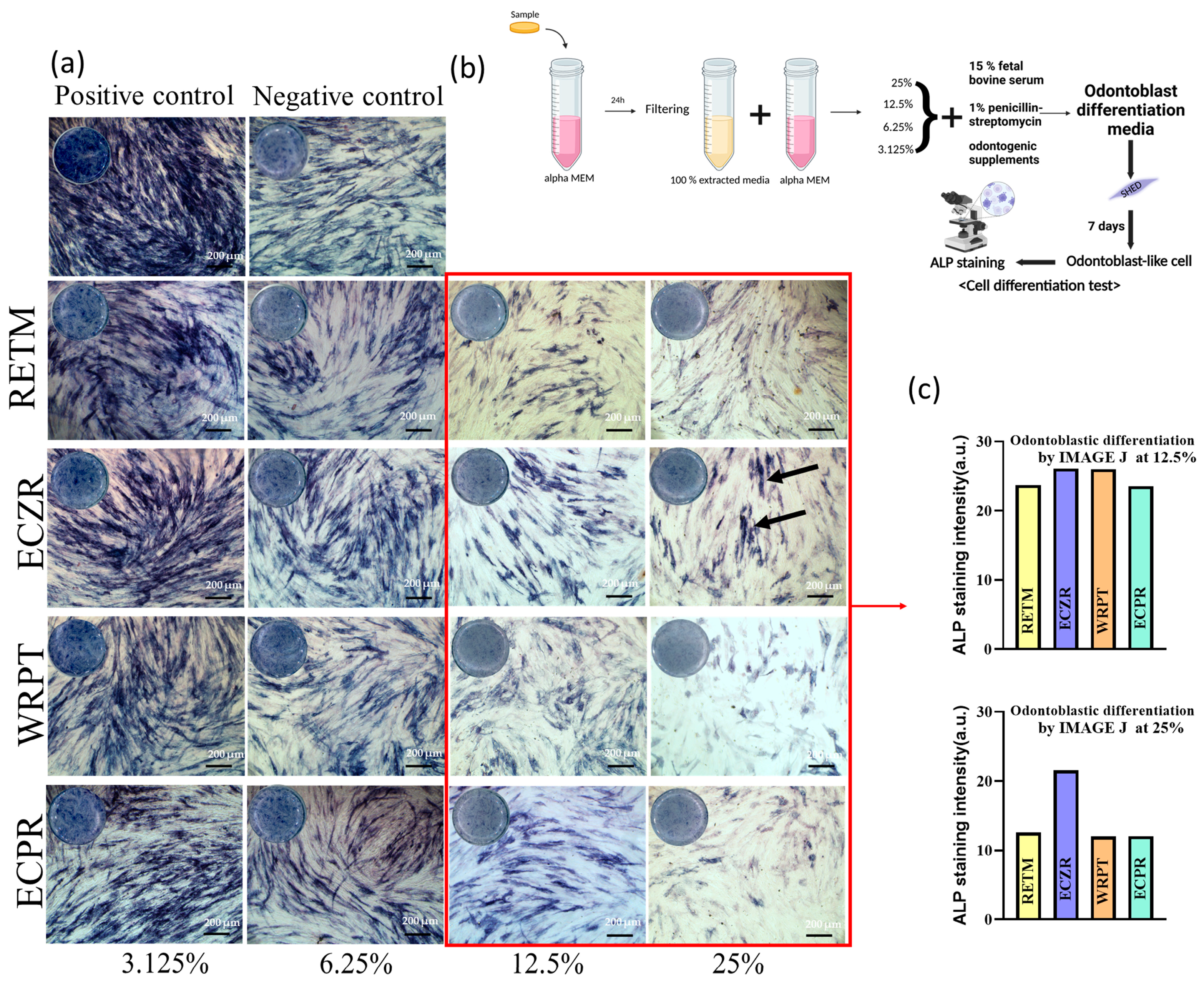 Pharmaceutics 15 01701 g004 Pharmaceutics 15 01701 g004