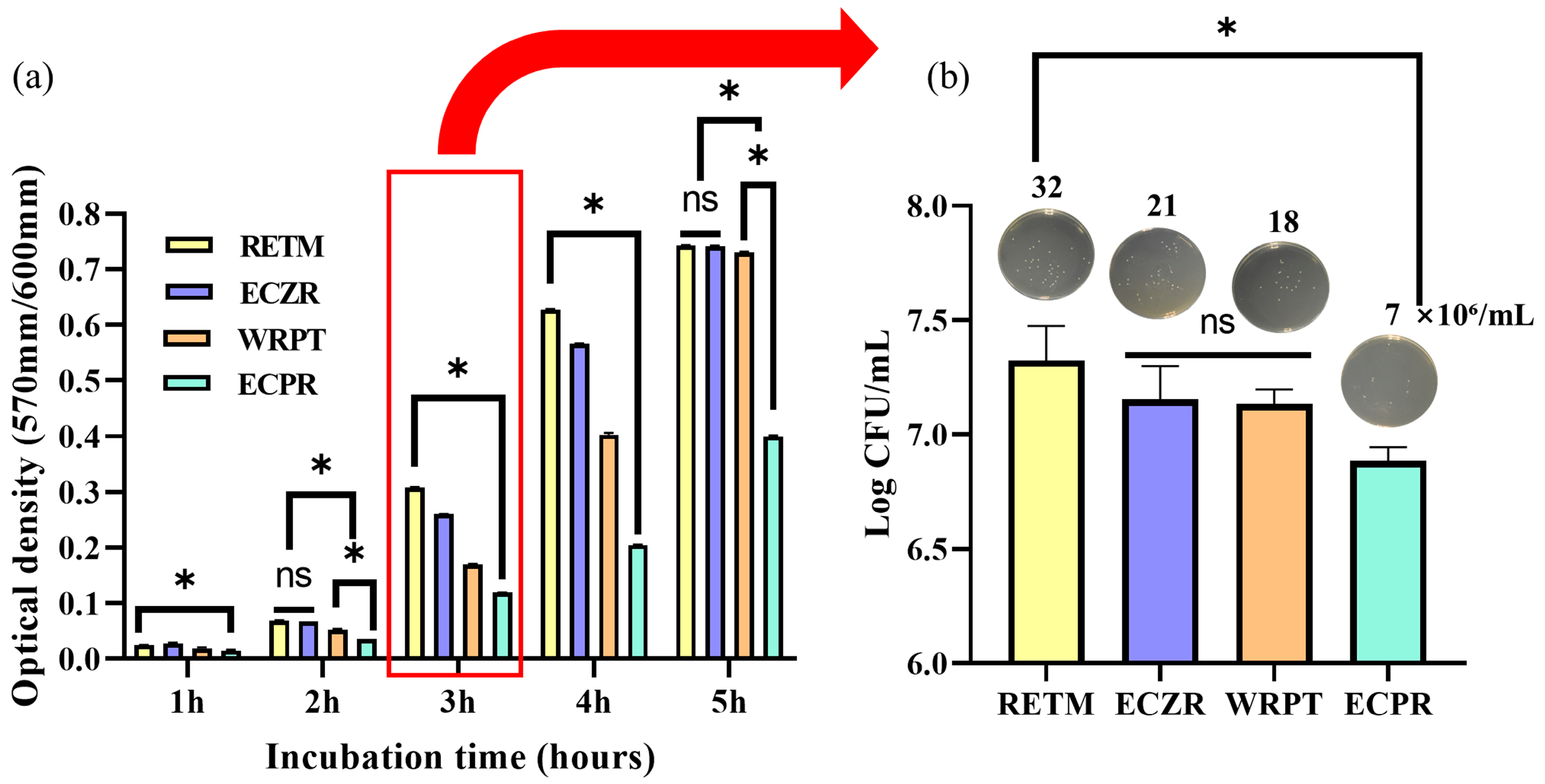 Pharmaceutics 15 01701 g005 Pharmaceutics 15 01701 g005