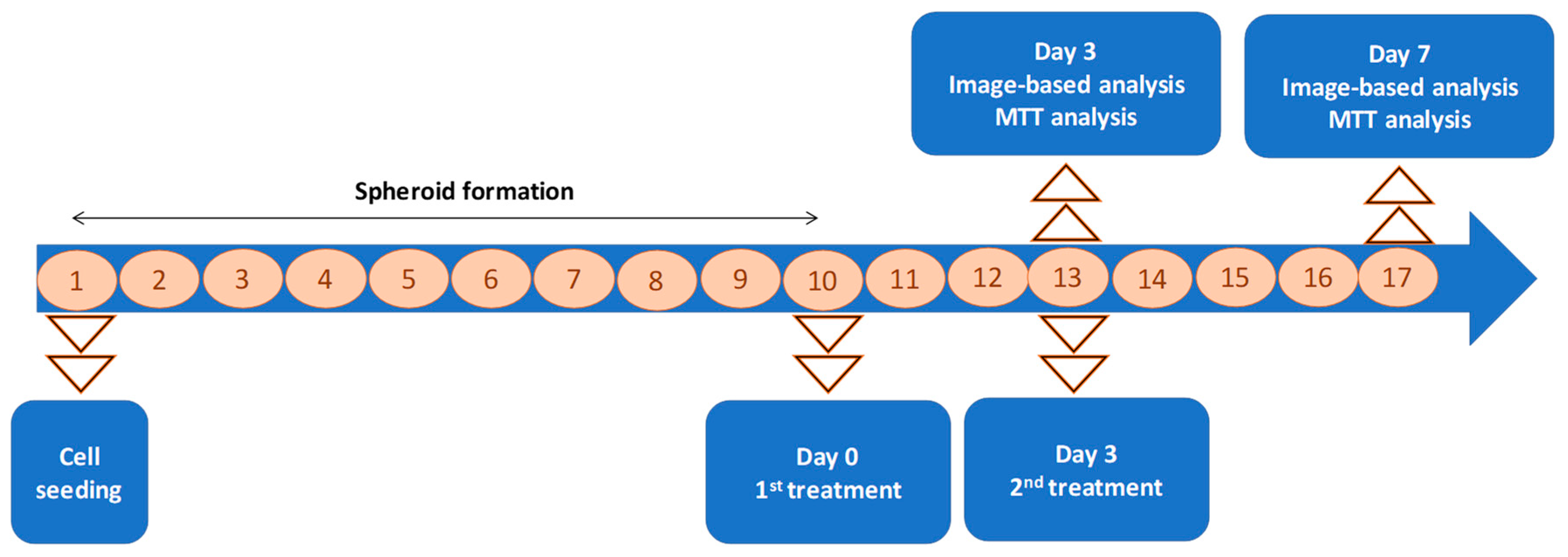 Pharmaceutics 15 01702 g001 Pharmaceutics 15 01702 g001
