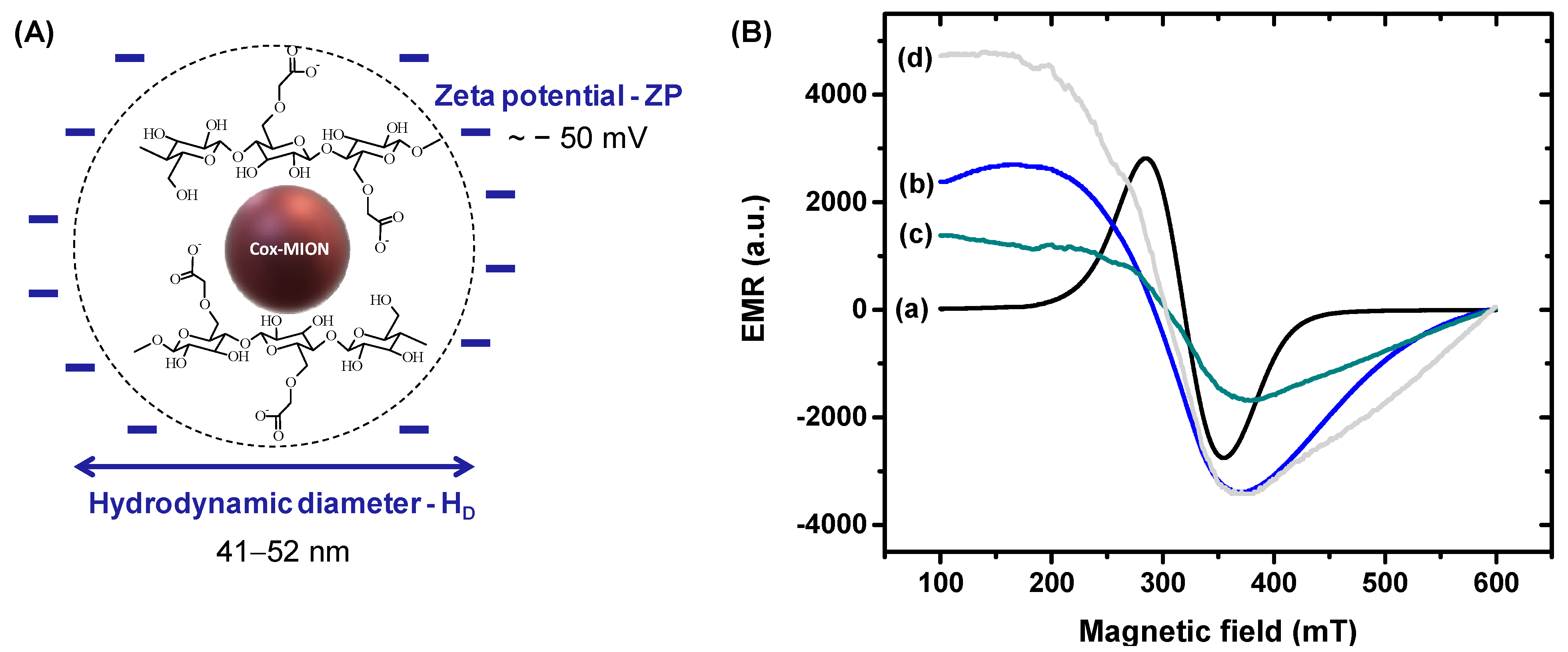 Pharmaceutics 15 01702 g005 Pharmaceutics 15 01702 g005
