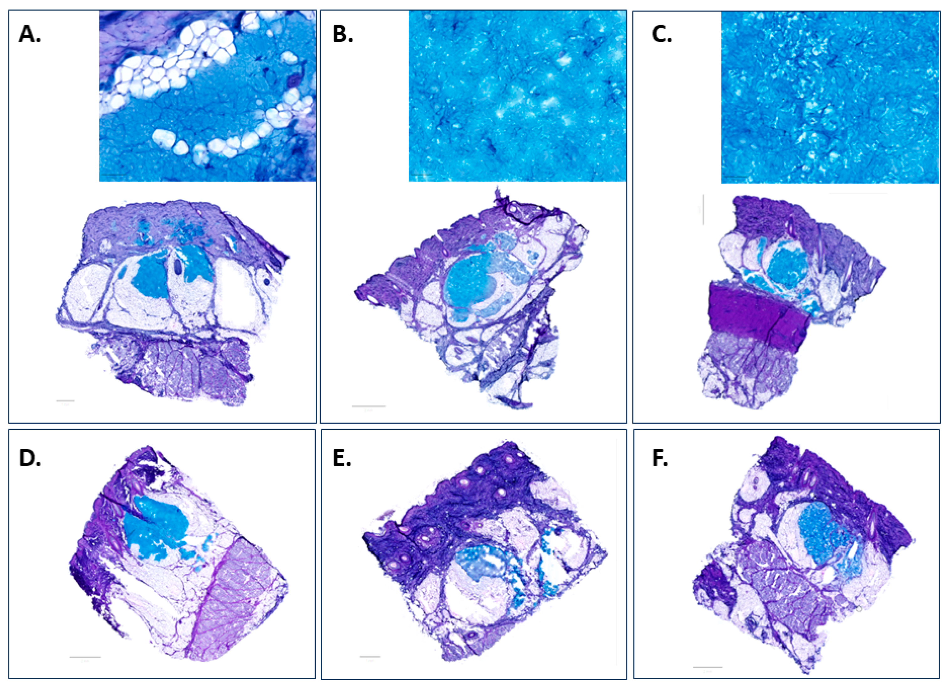 Pharmaceutics 15 01708 g005