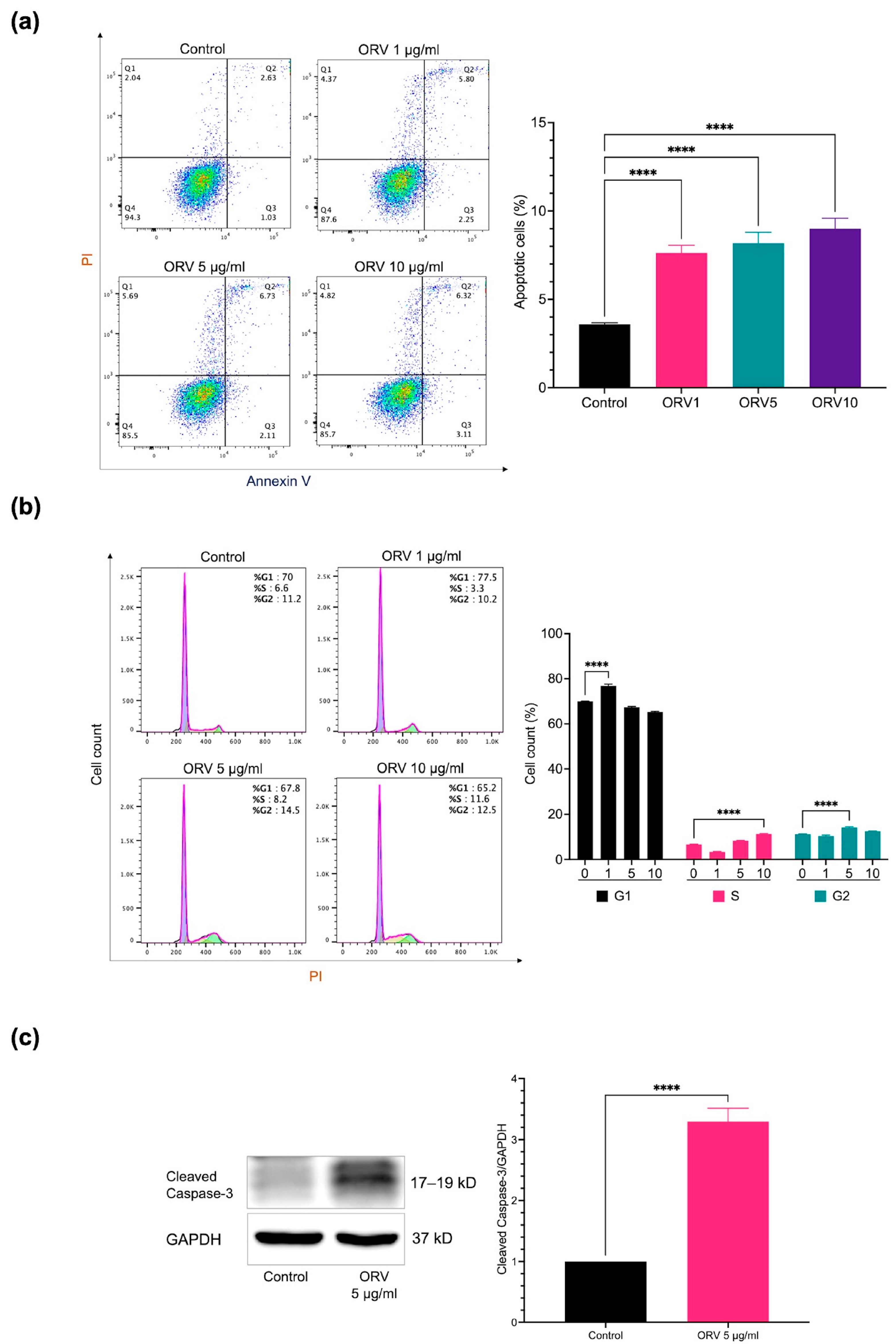 Pharmaceutics 15 01709 g001 Pharmaceutics 15 01709 g001