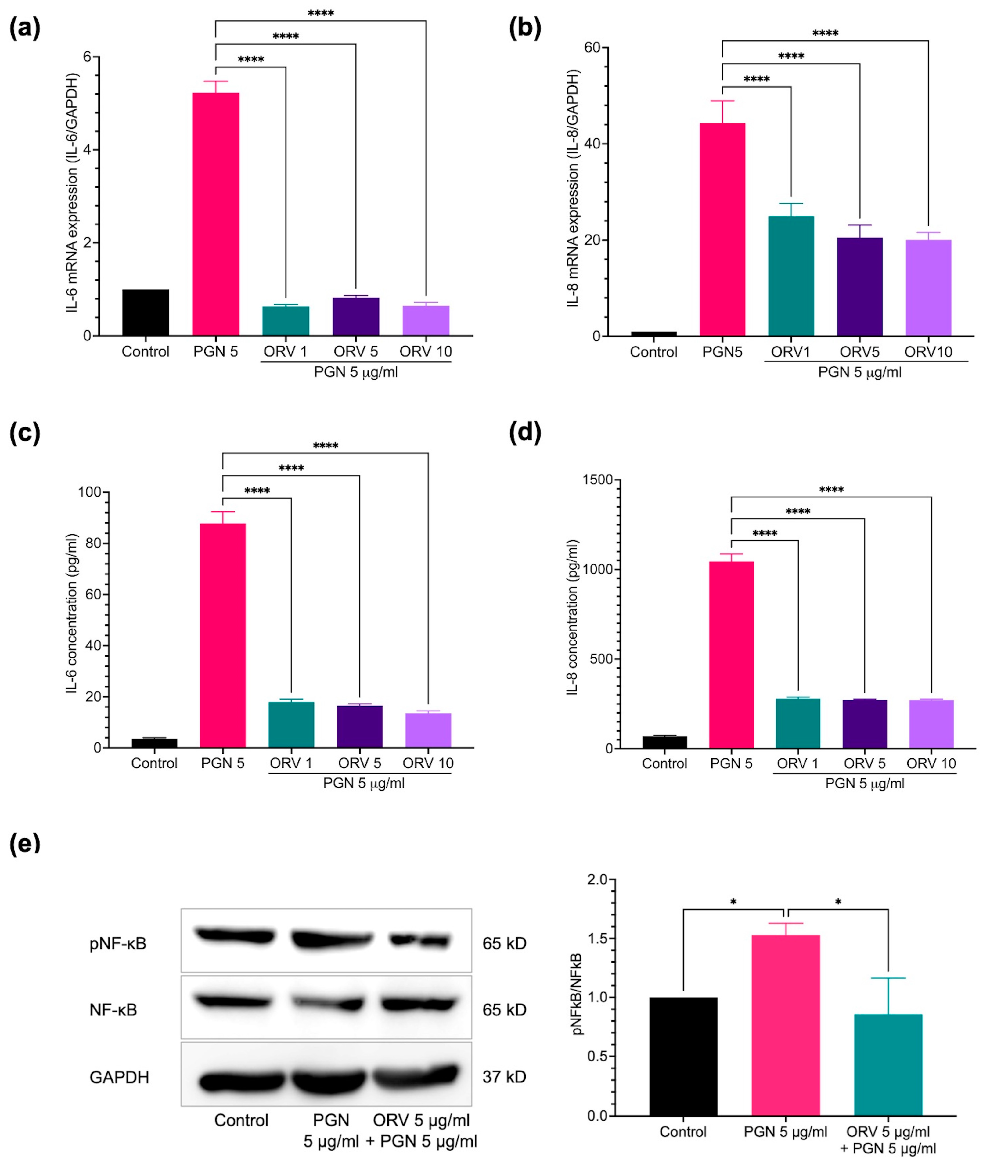 Pharmaceutics 15 01709 g002 Pharmaceutics 15 01709 g002