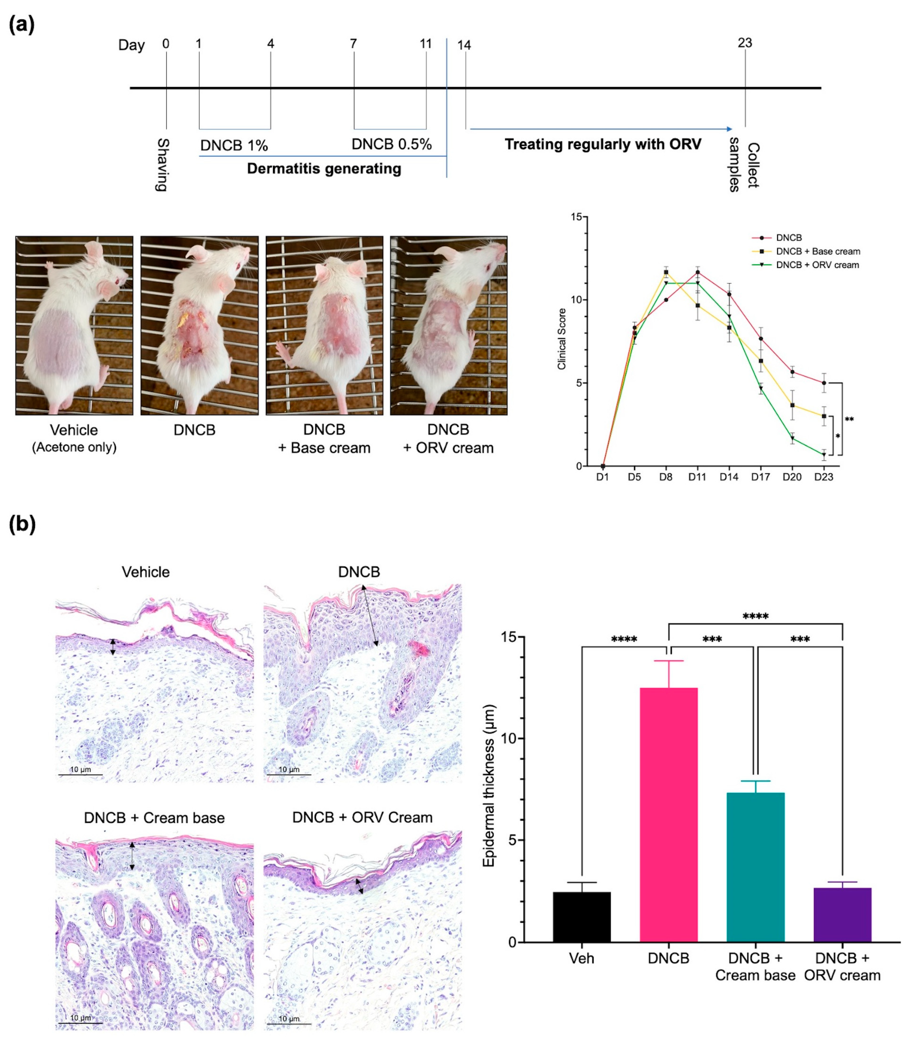 Pharmaceutics 15 01709 g005 Pharmaceutics 15 01709 g005
