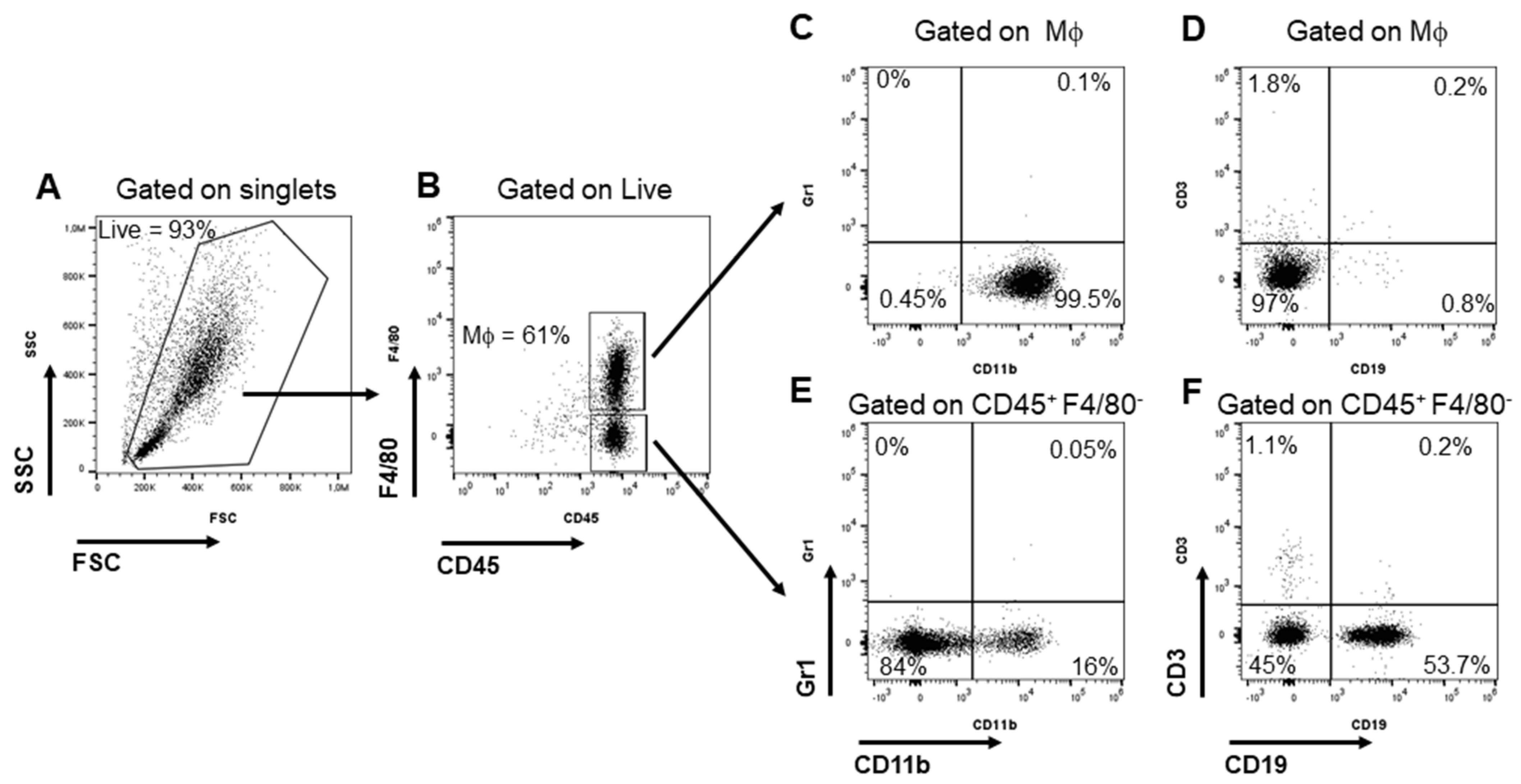 Pharmaceutics 15 01711 g002 Pharmaceutics 15 01711 g002
