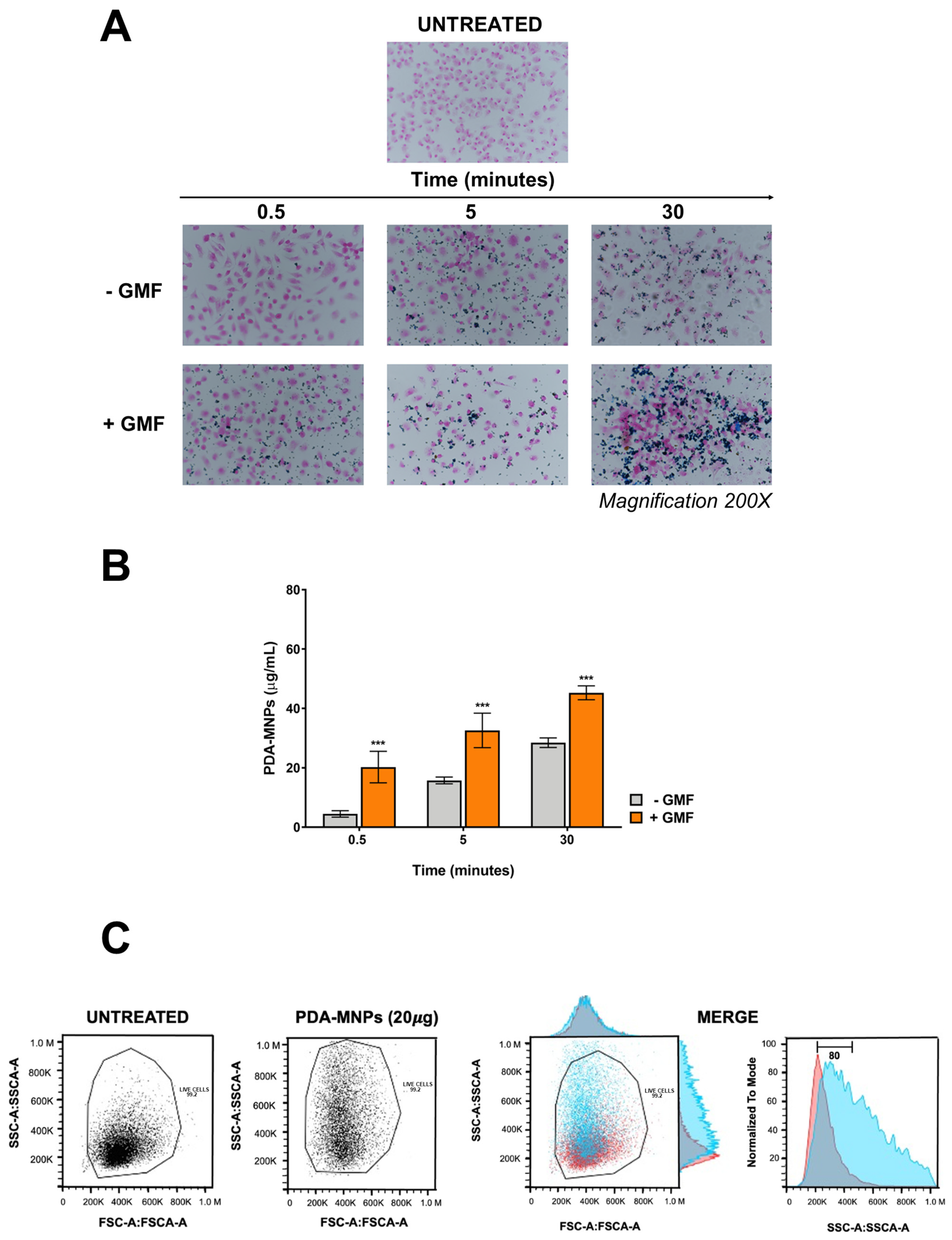Pharmaceutics 15 01711 g004 Pharmaceutics 15 01711 g004