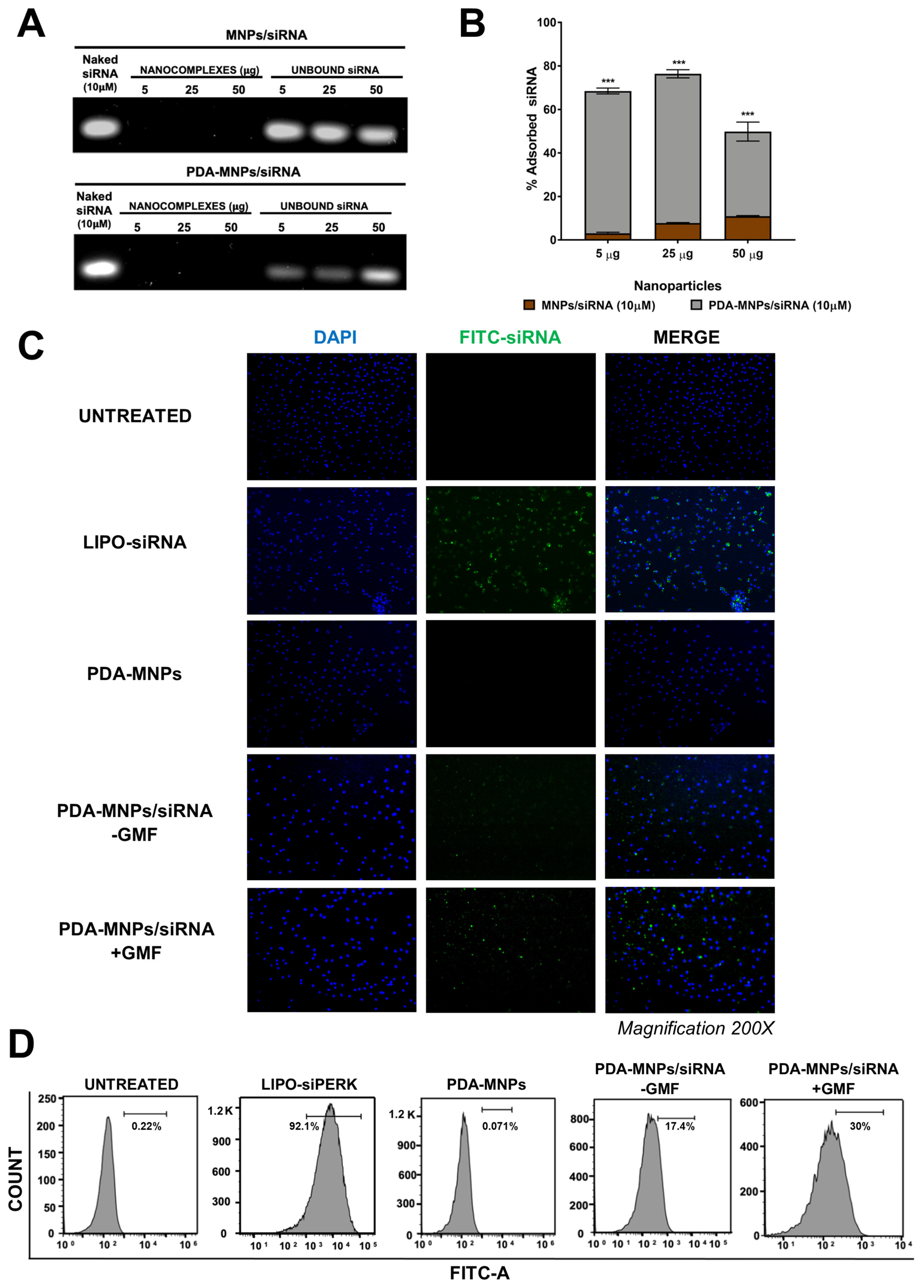 Pharmaceutics 15 01711 g005 Pharmaceutics 15 01711 g005