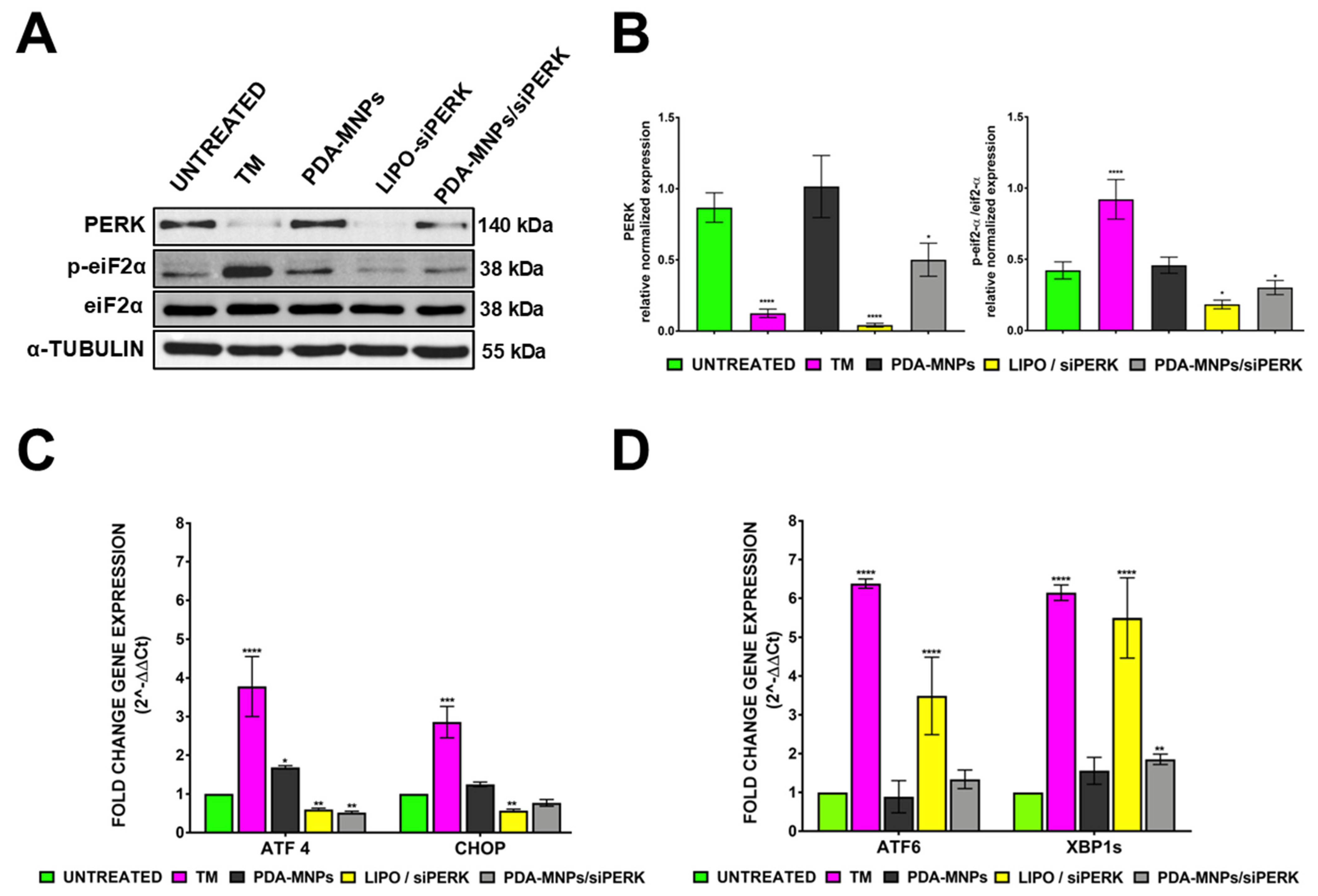 Pharmaceutics 15 01711 g006 Pharmaceutics 15 01711 g006