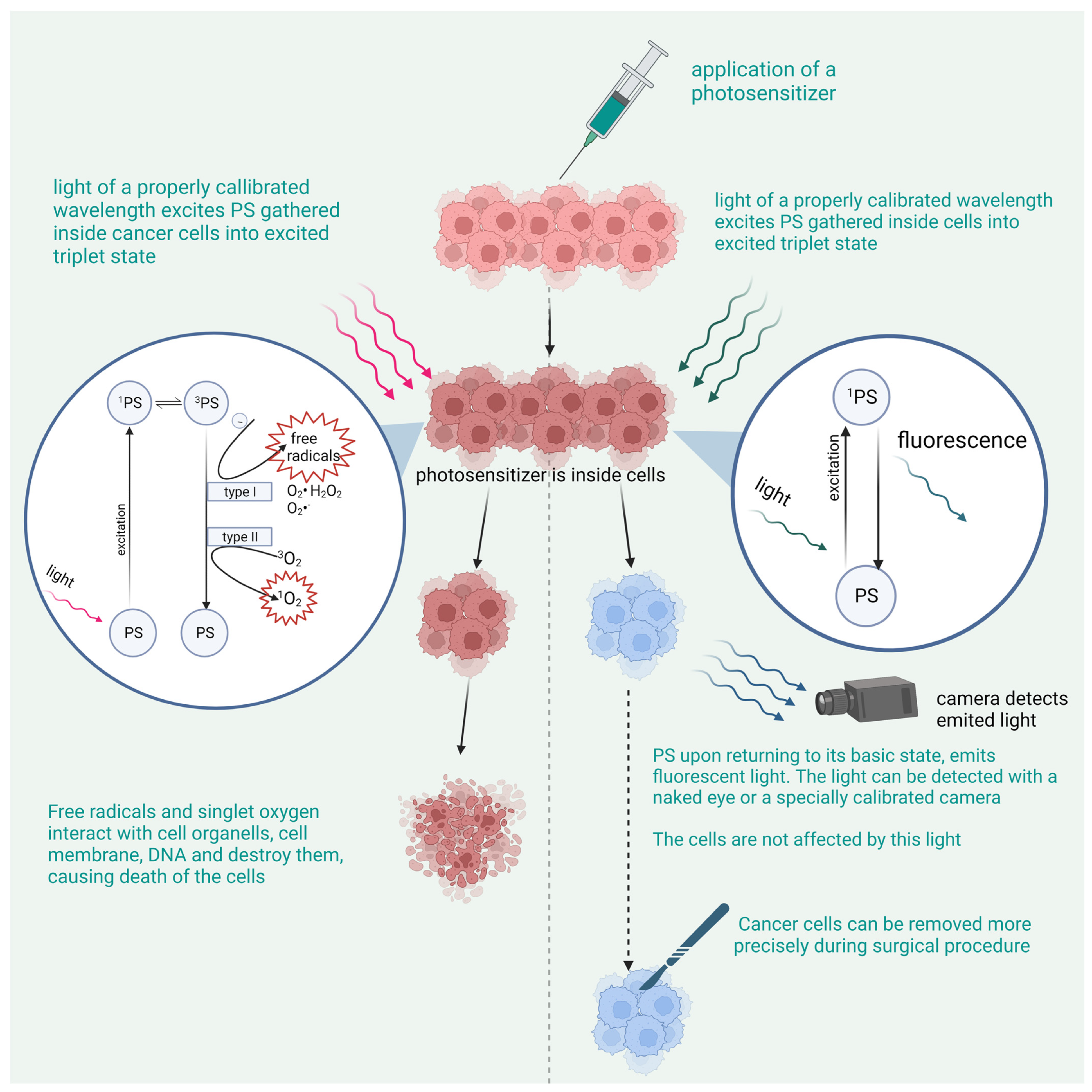 Pharmaceutics 15 01712 g001 Pharmaceutics 15 01712 g001