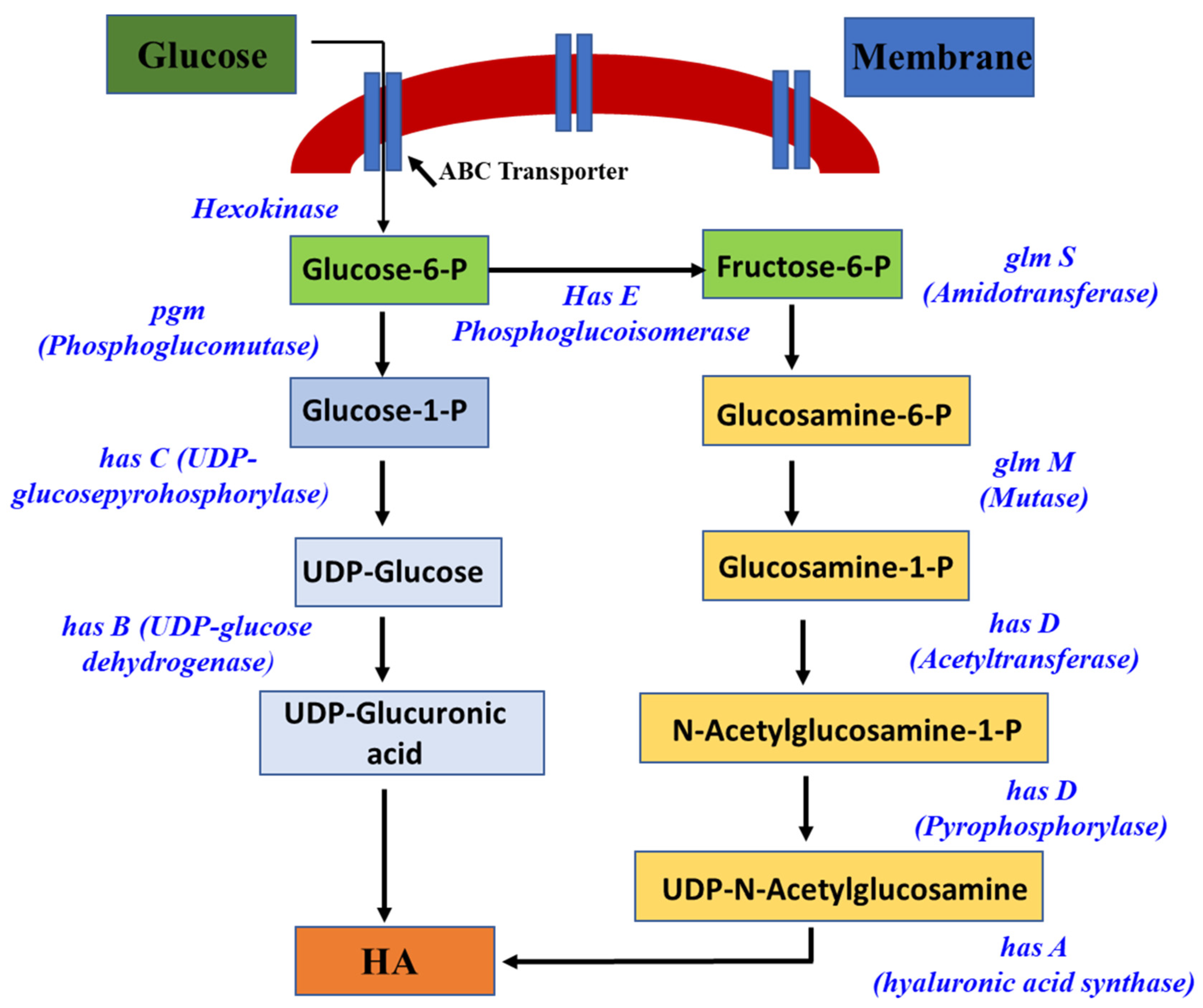 Pharmaceutics 15 01713 g002 Pharmaceutics 15 01713 g002