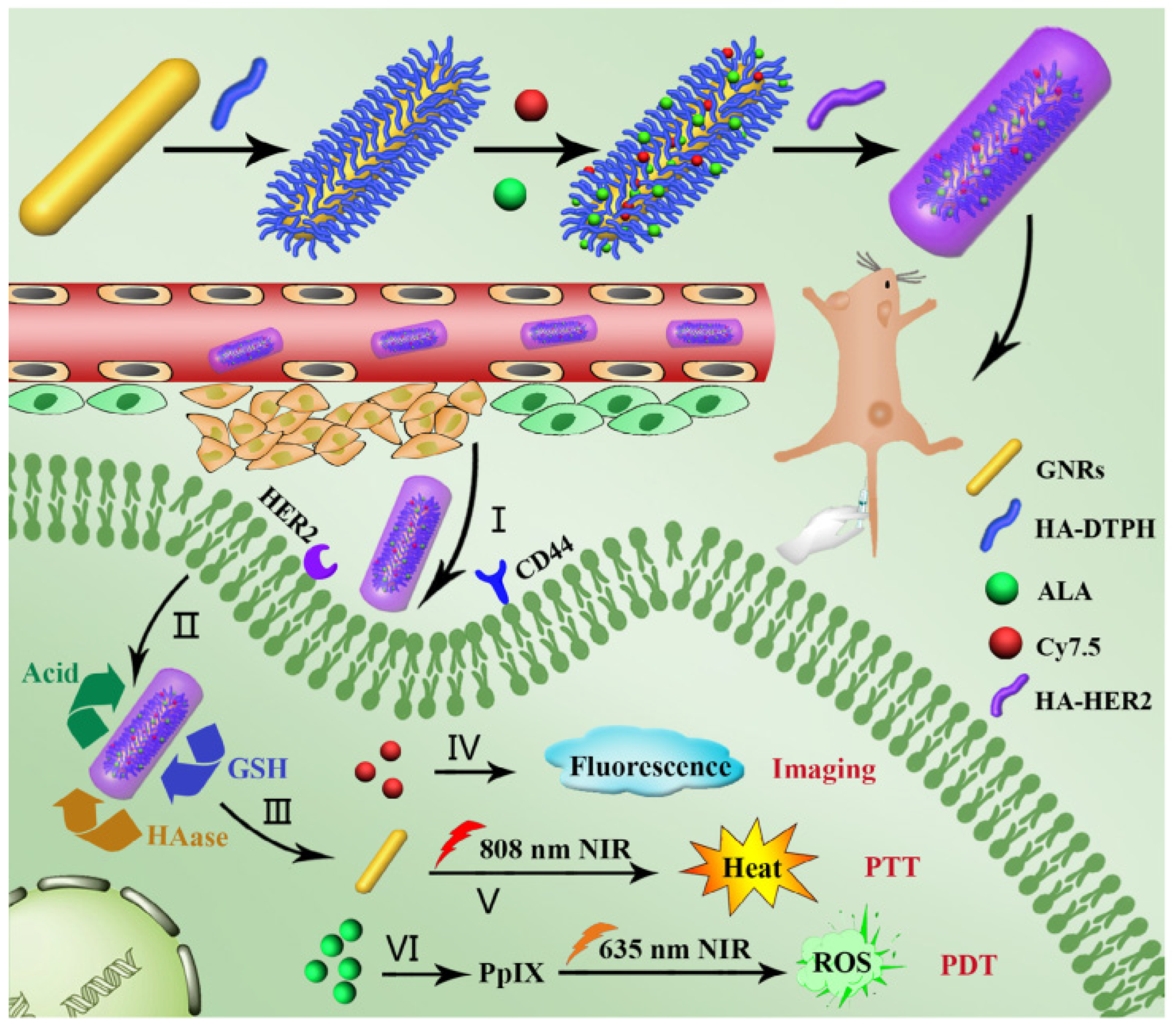 Pharmaceutics 15 01713 g004 Pharmaceutics 15 01713 g004