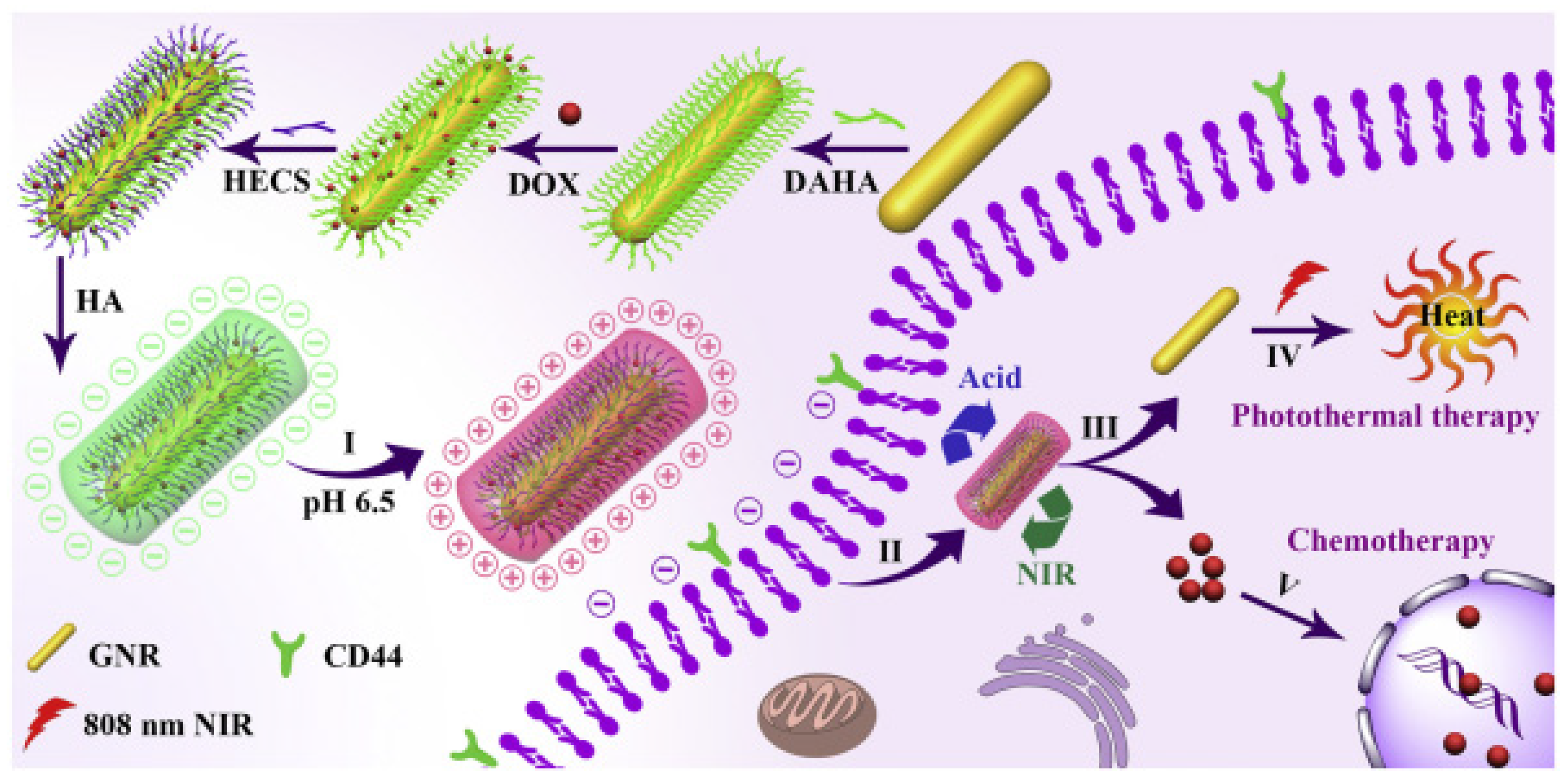 Pharmaceutics 15 01713 g005 Pharmaceutics 15 01713 g005