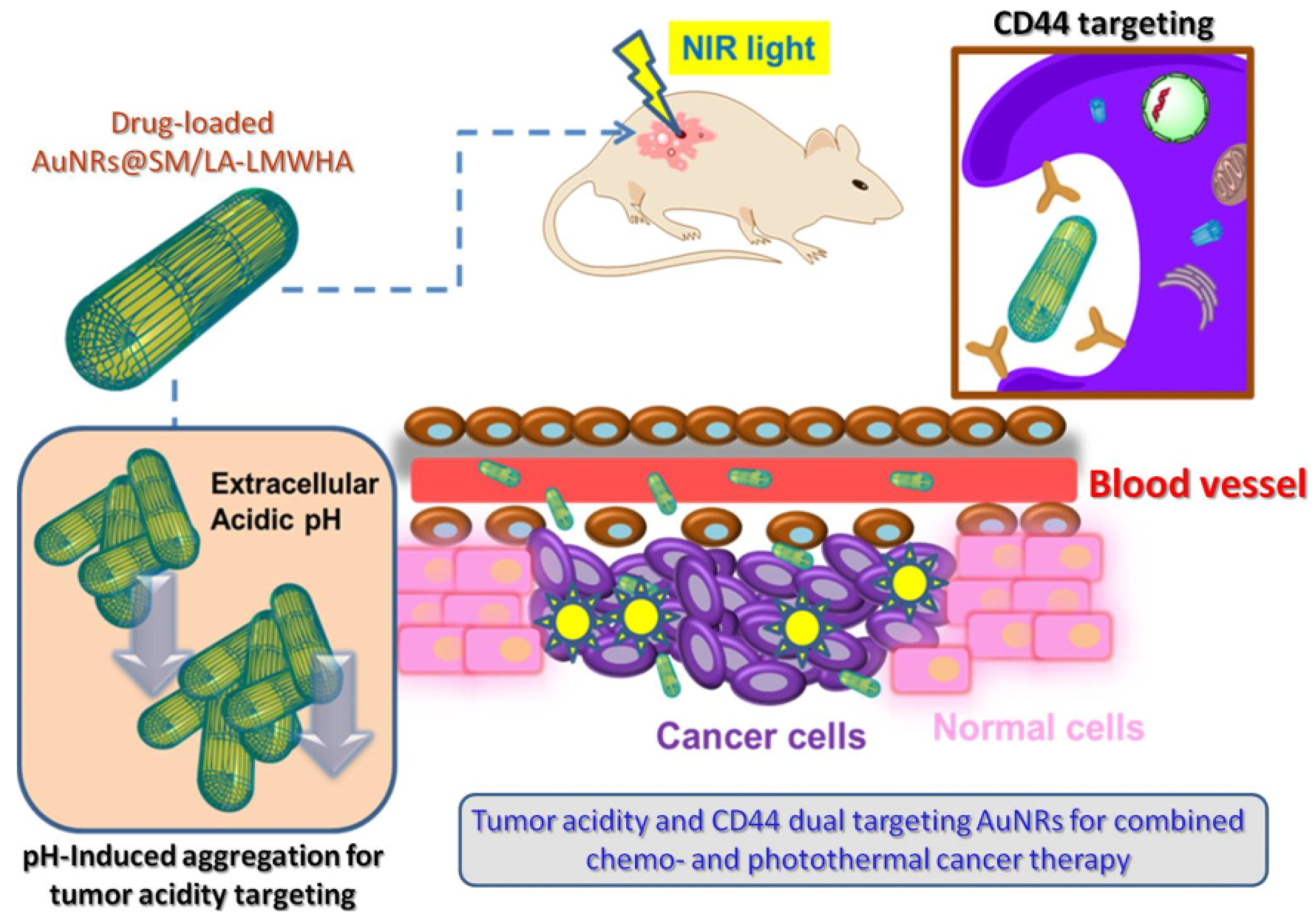 Pharmaceutics 15 01713 g006 Pharmaceutics 15 01713 g006