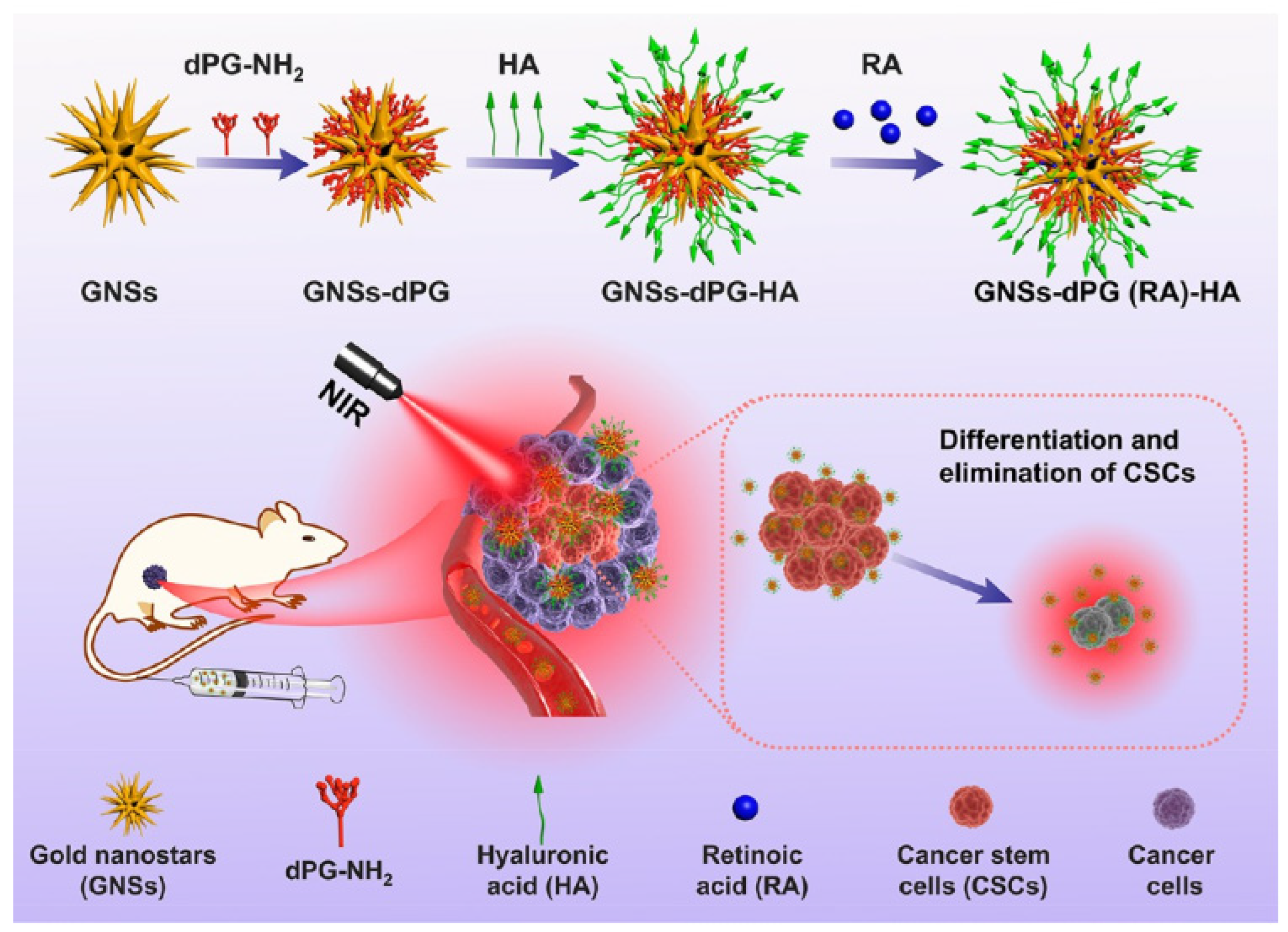 Pharmaceutics 15 01713 g007 Pharmaceutics 15 01713 g007