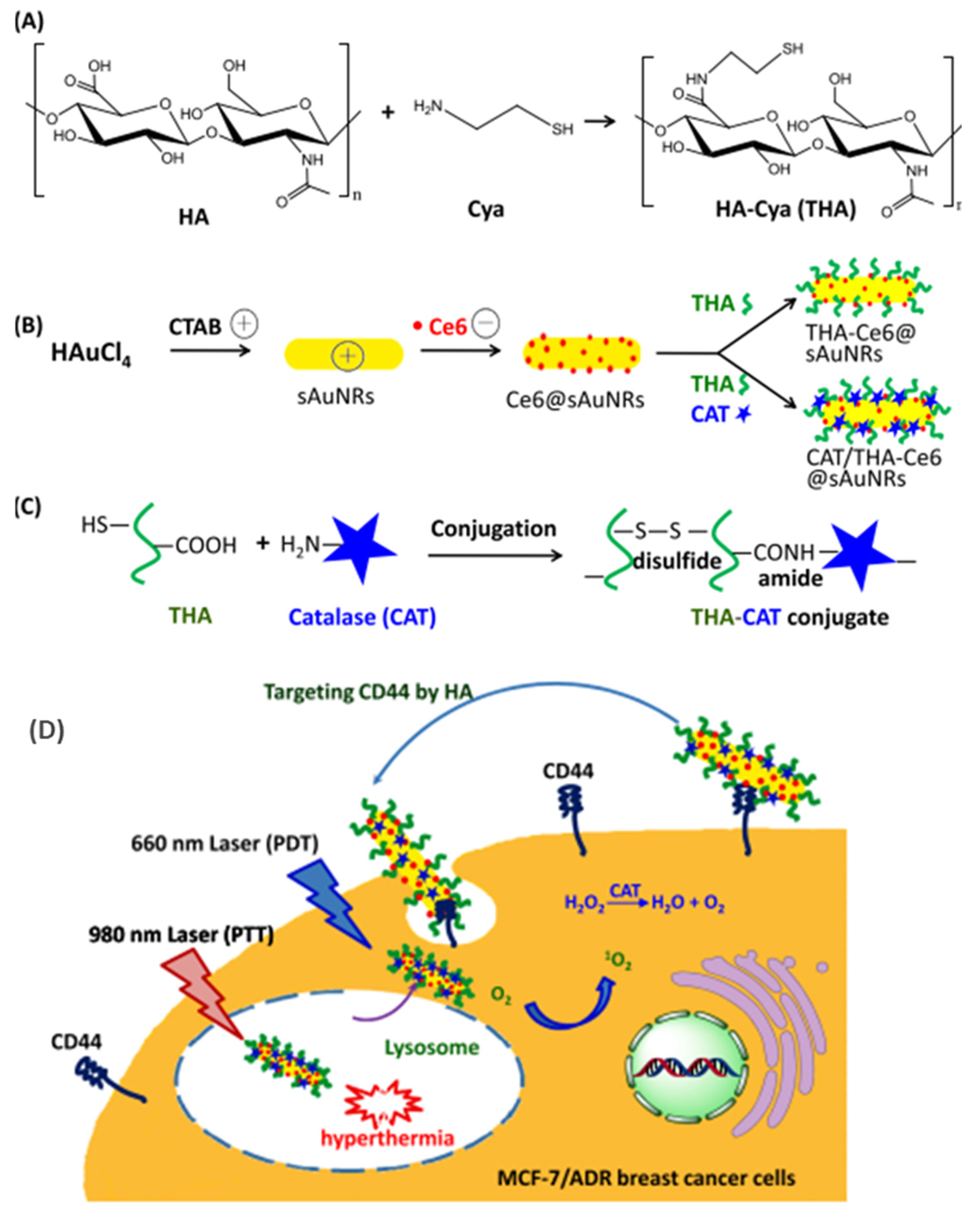 Pharmaceutics 15 01713 g008 Pharmaceutics 15 01713 g008
