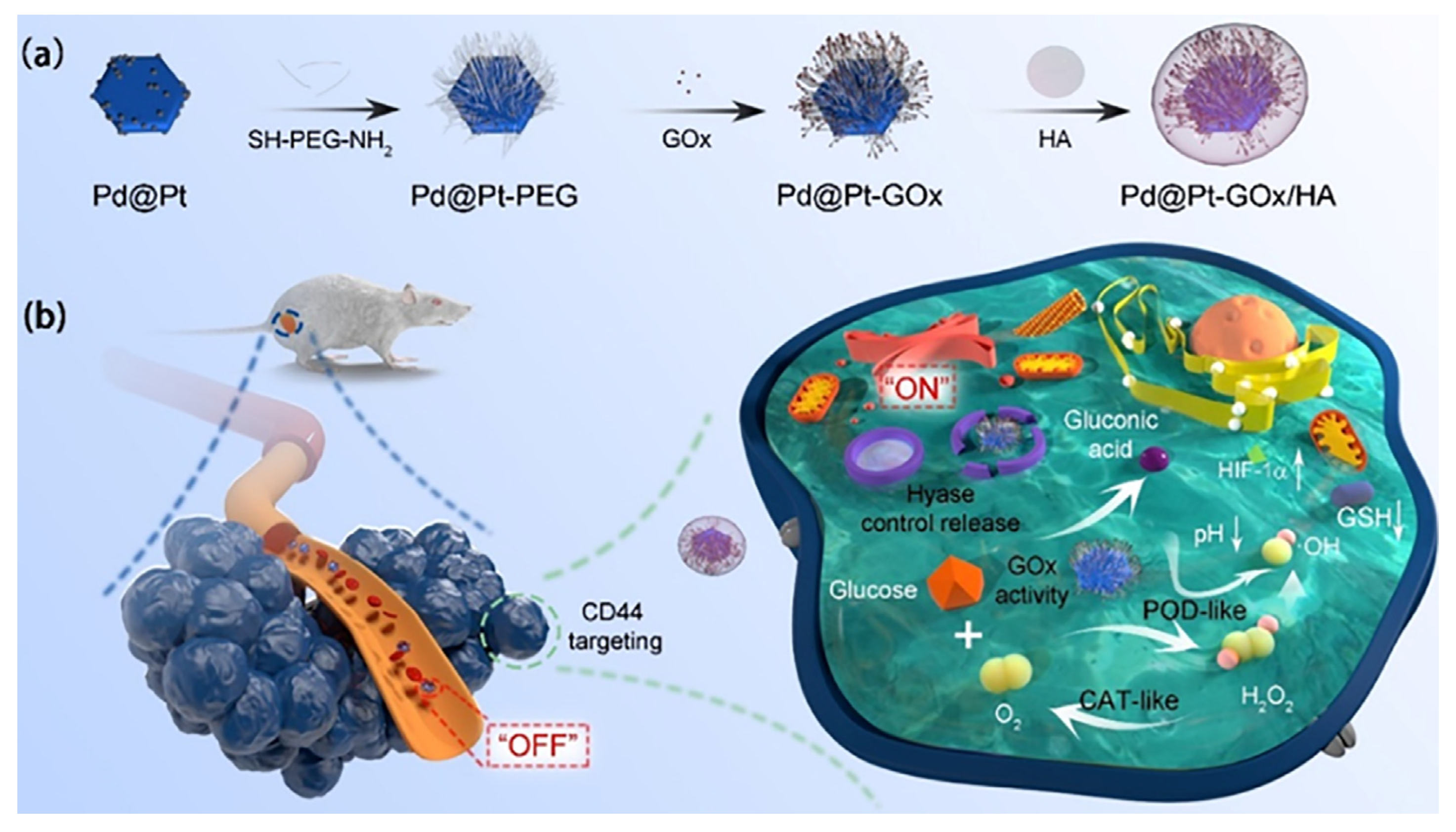 Pharmaceutics 15 01713 g009 Pharmaceutics 15 01713 g009