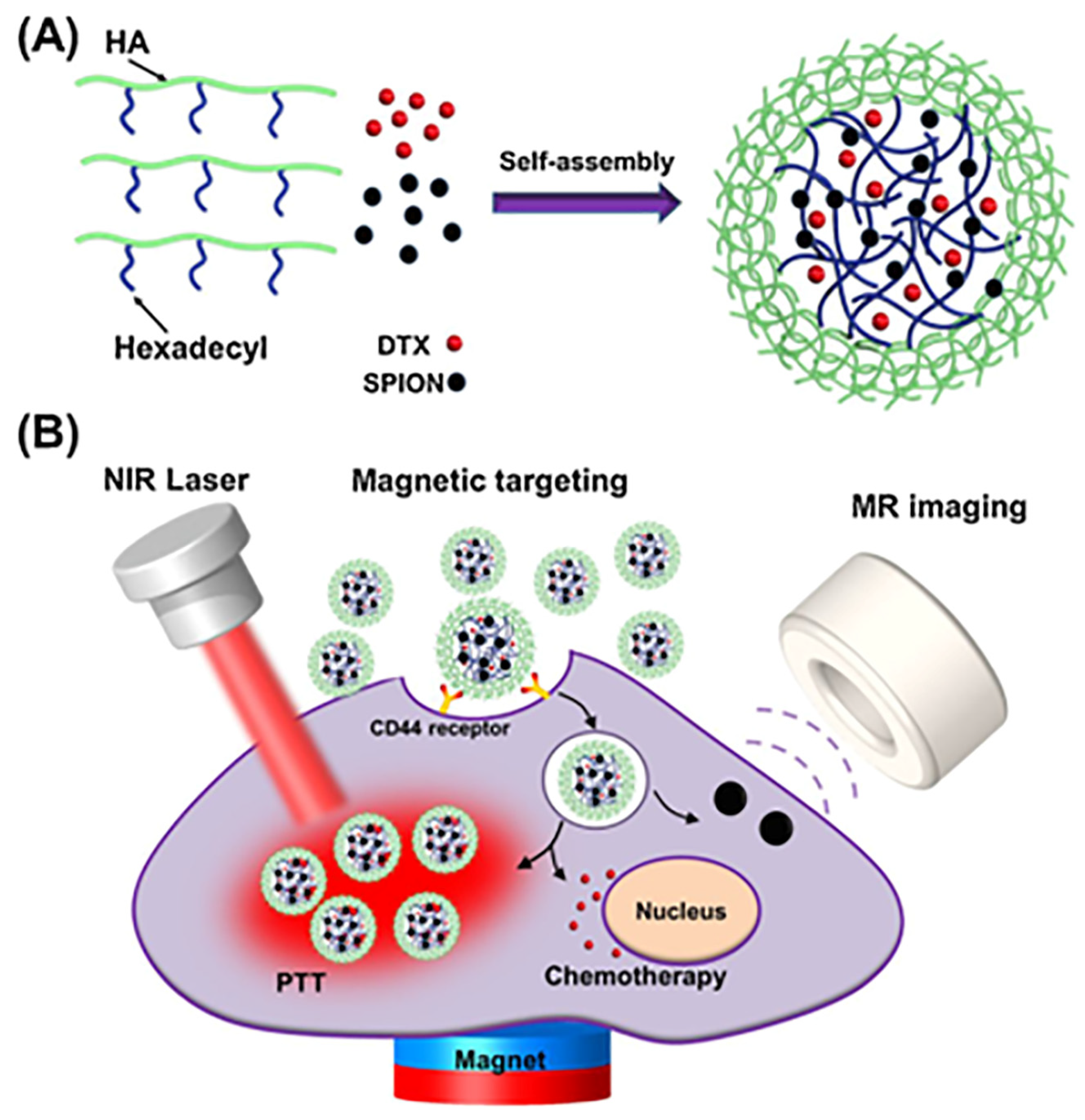 Pharmaceutics 15 01713 g010 Pharmaceutics 15 01713 g010