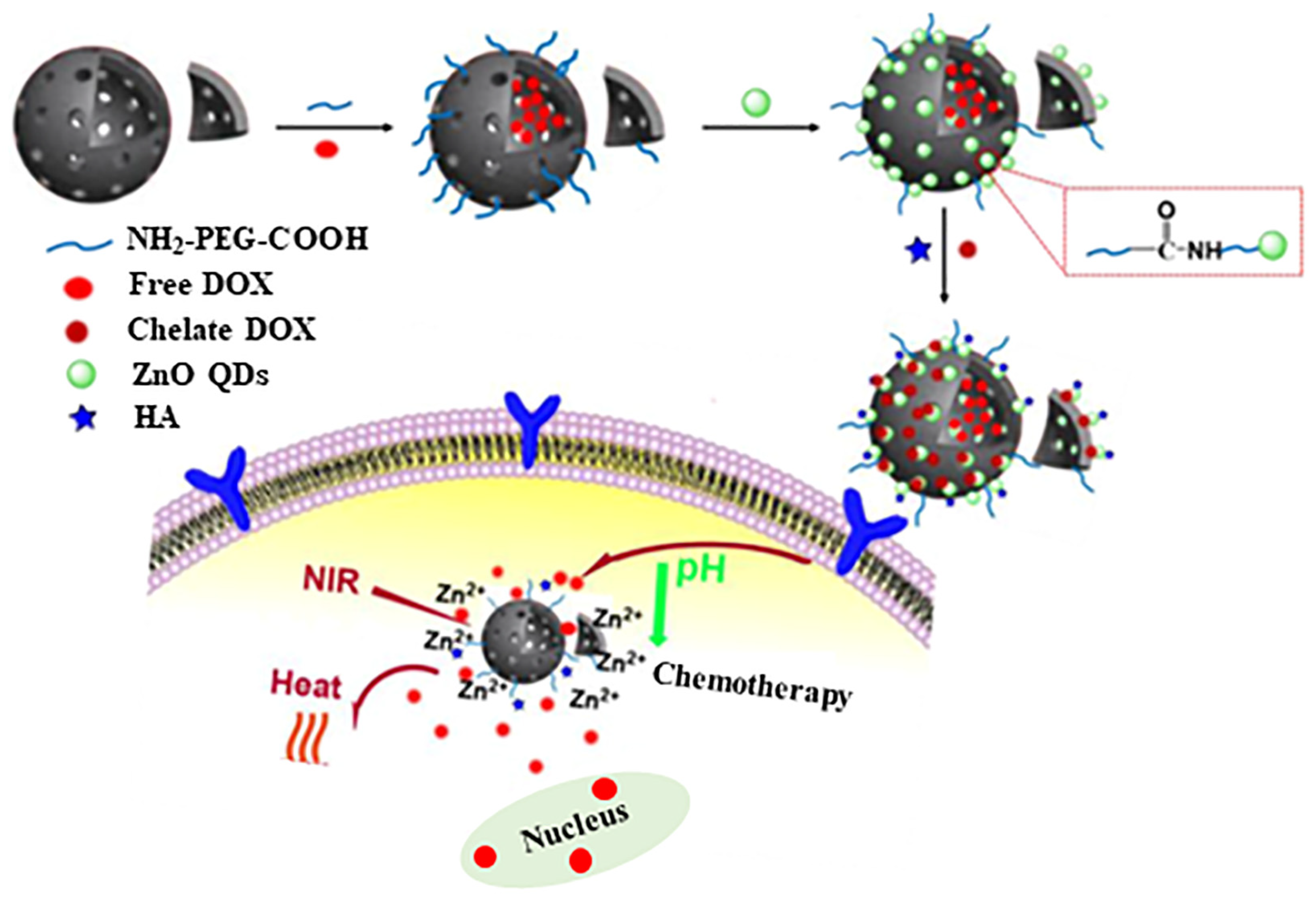 Pharmaceutics 15 01713 g011 Pharmaceutics 15 01713 g011