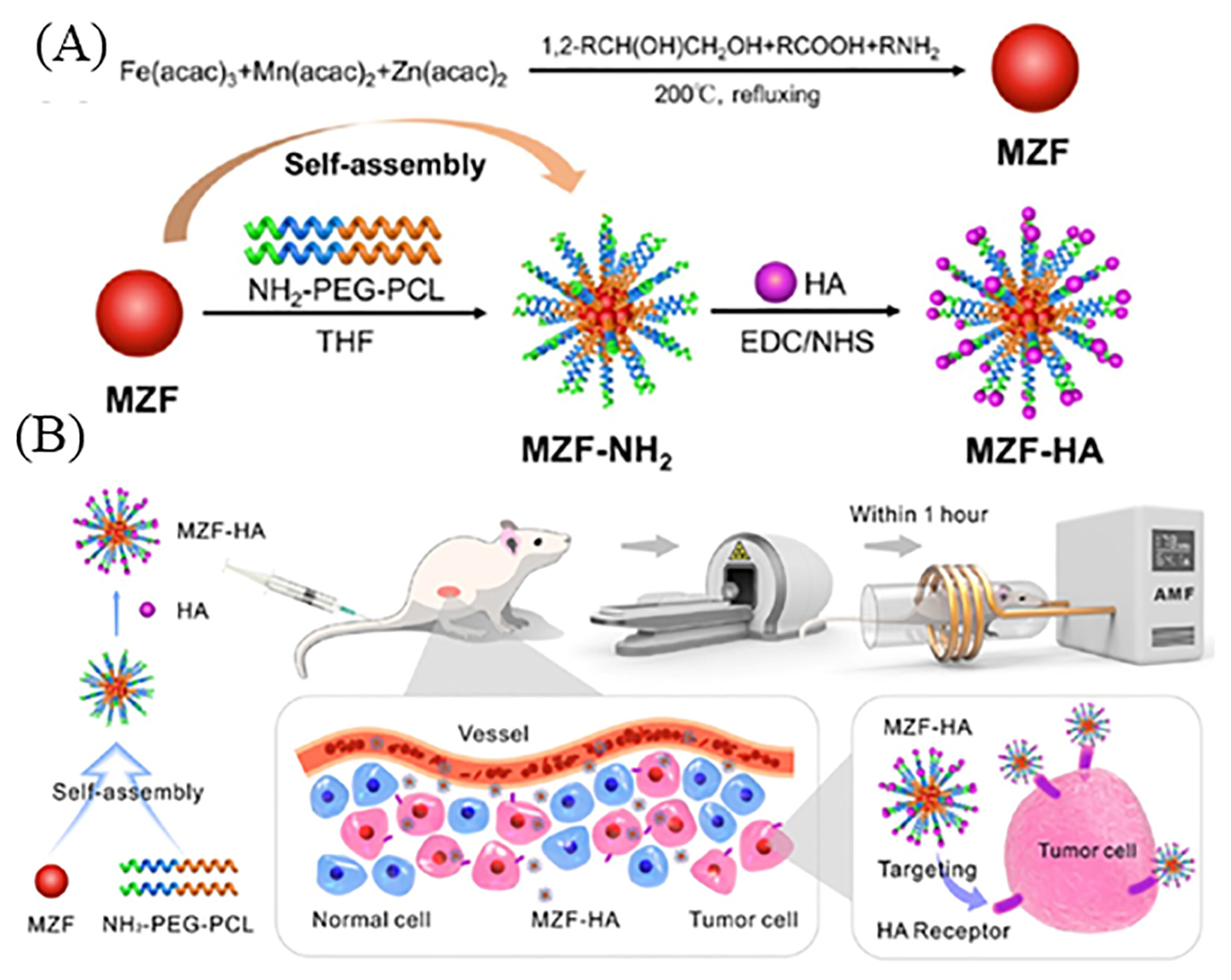 Pharmaceutics 15 01713 g012 Pharmaceutics 15 01713 g012