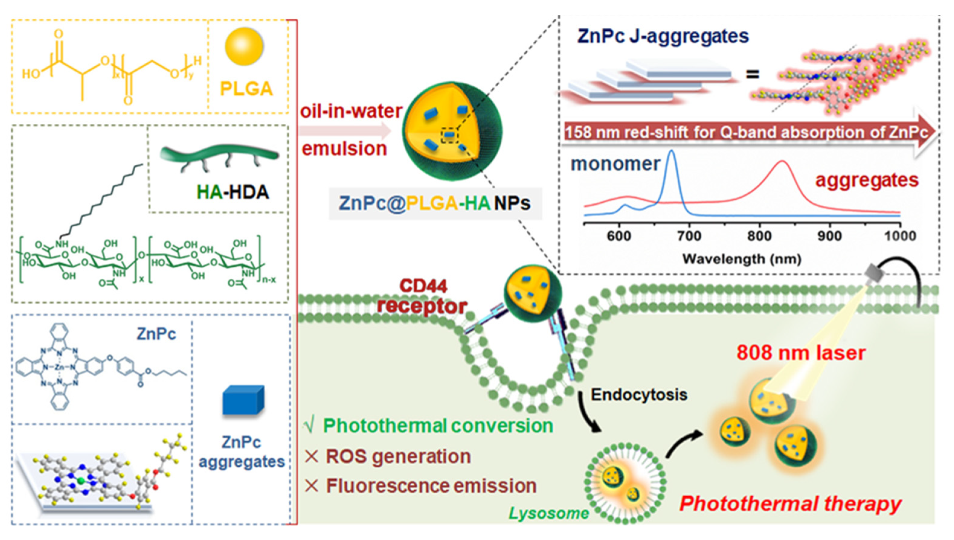 Pharmaceutics 15 01713 g013 Pharmaceutics 15 01713 g013