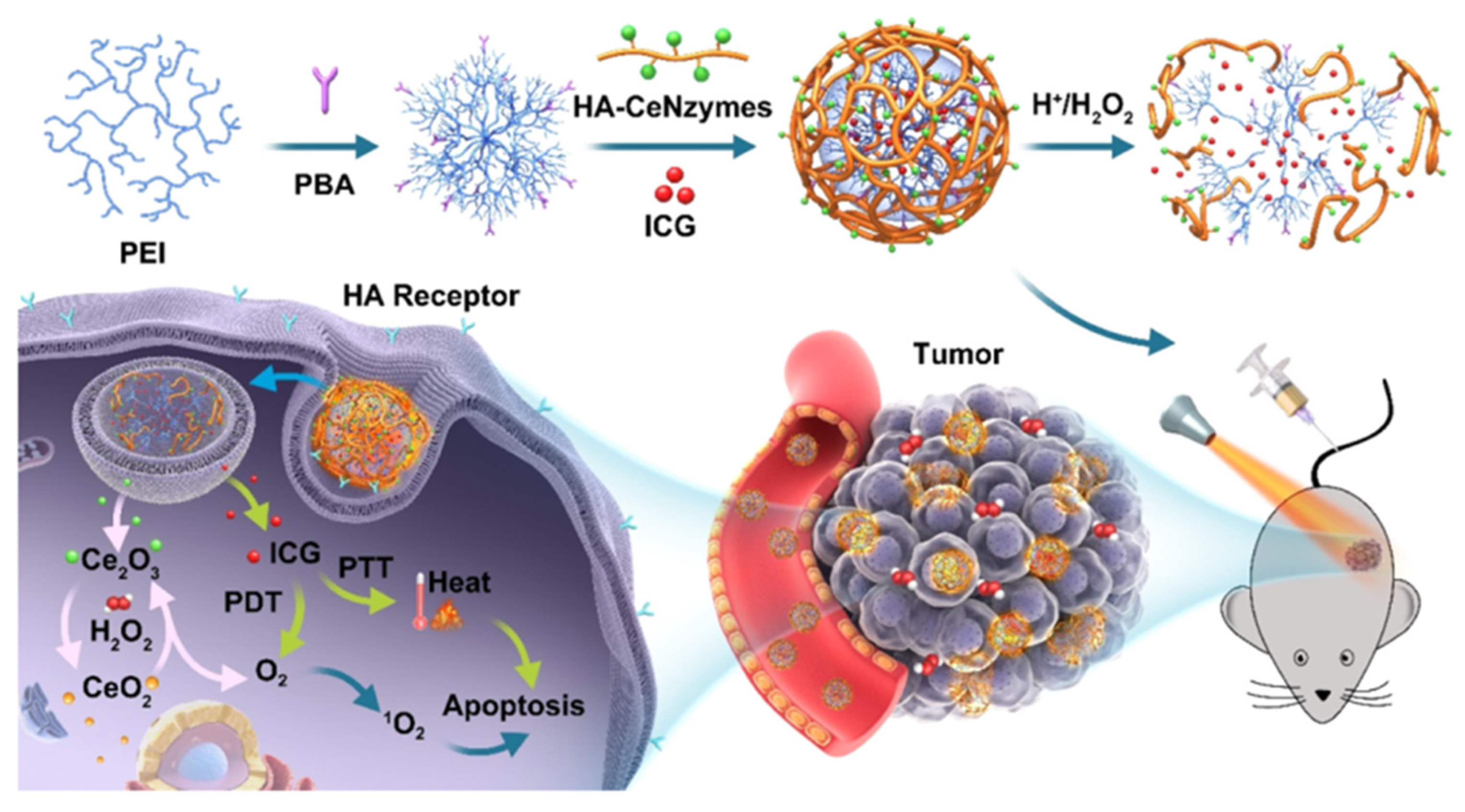 Pharmaceutics 15 01713 g014 Pharmaceutics 15 01713 g014