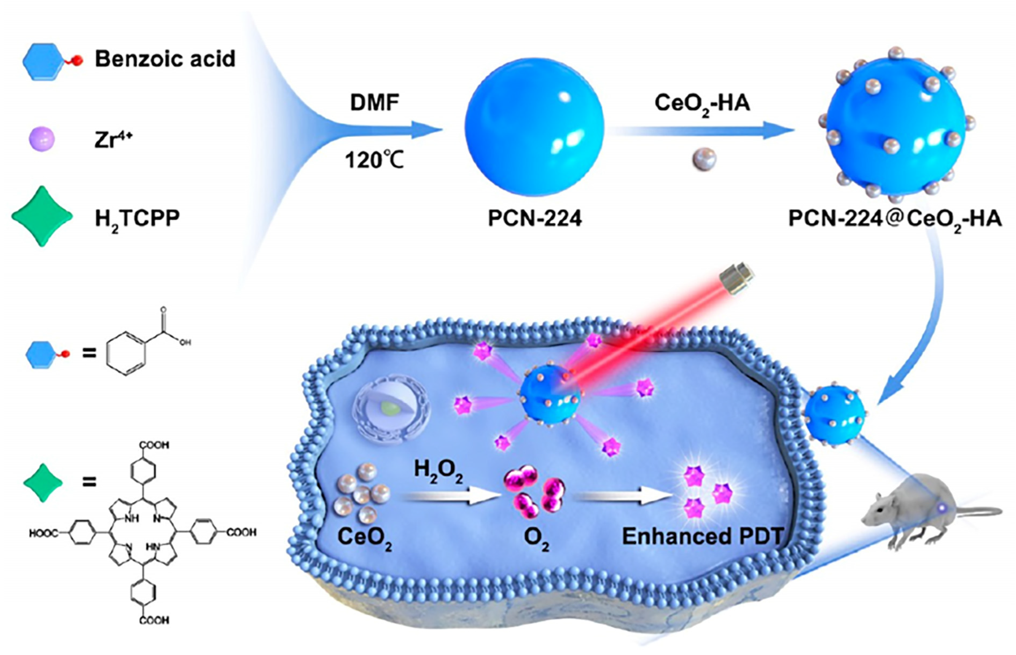 Pharmaceutics 15 01713 g015 Pharmaceutics 15 01713 g015
