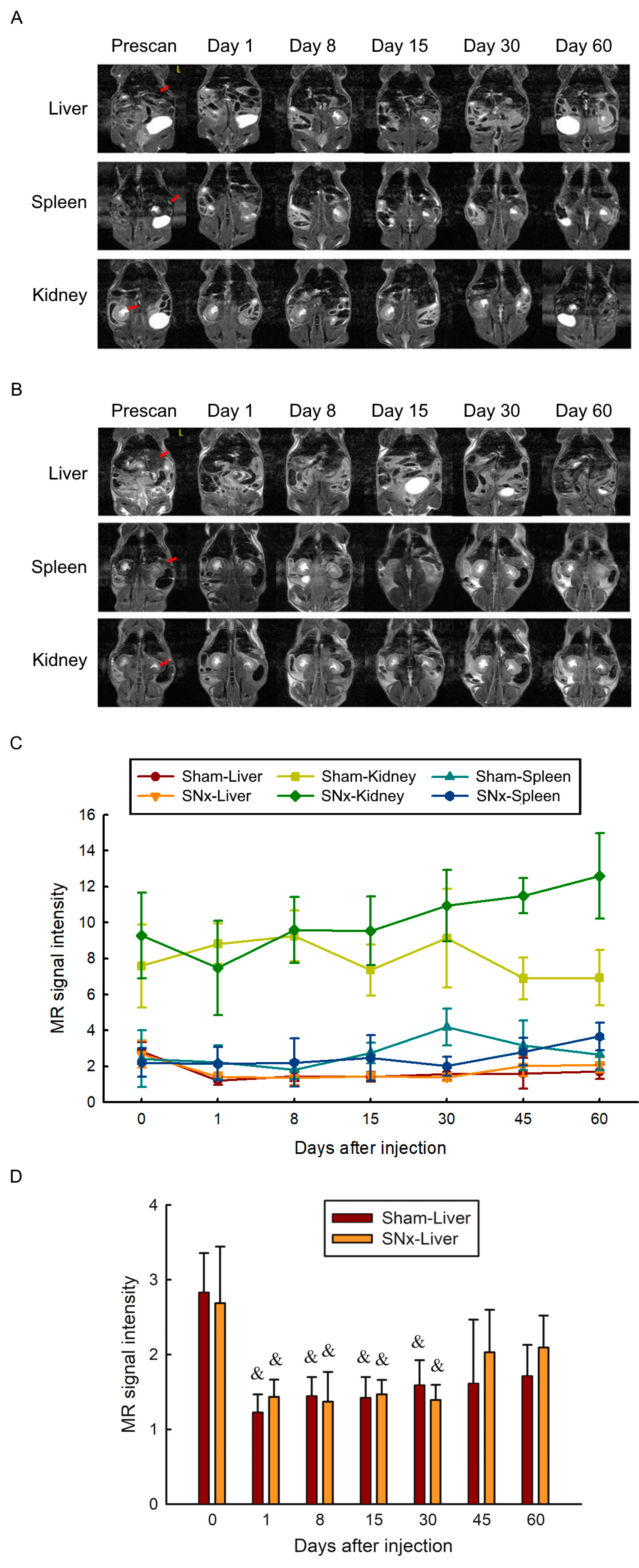 Pharmaceutics 15 01714 g005 Pharmaceutics 15 01714 g005