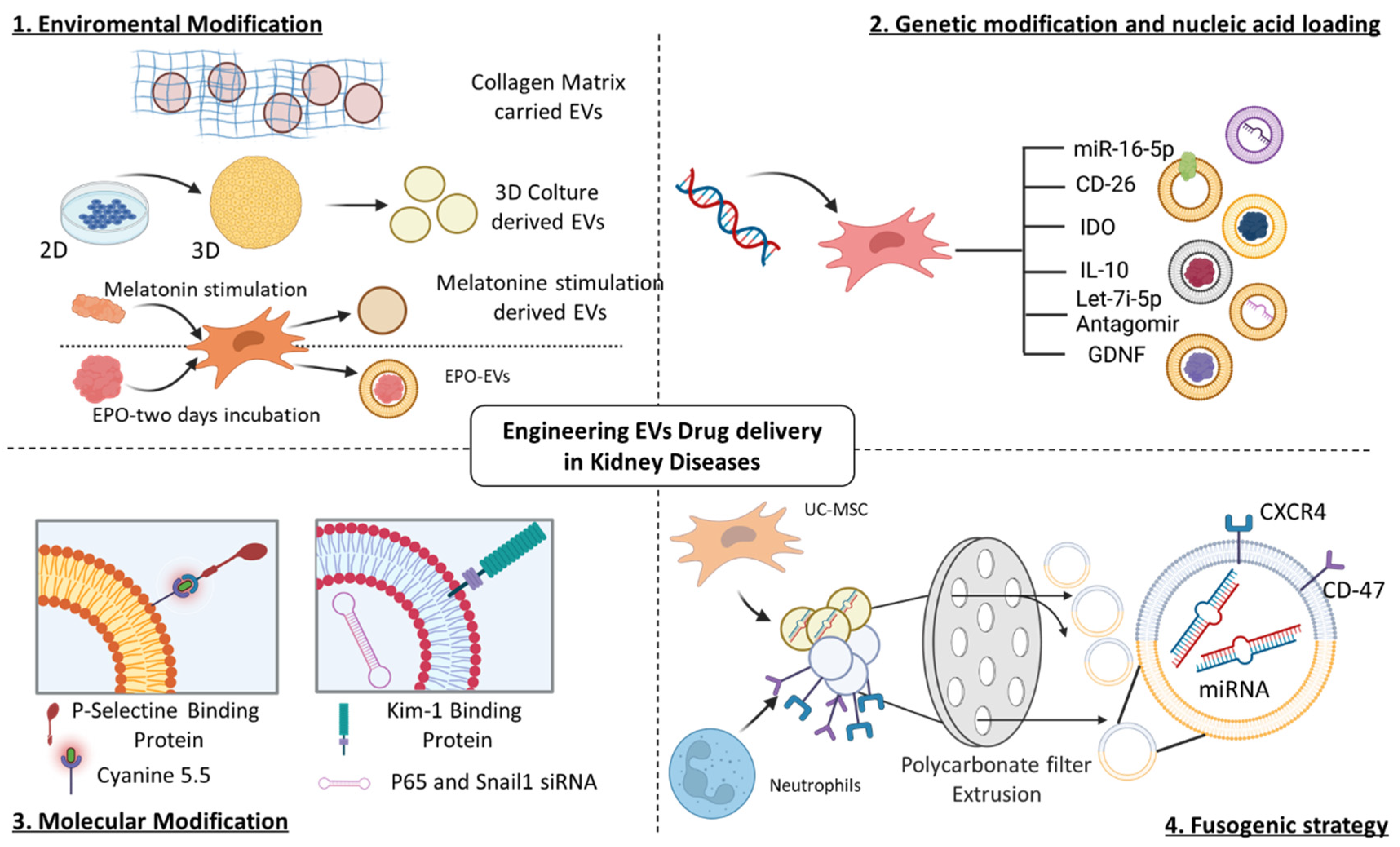Pharmaceutics 15 01715 g003