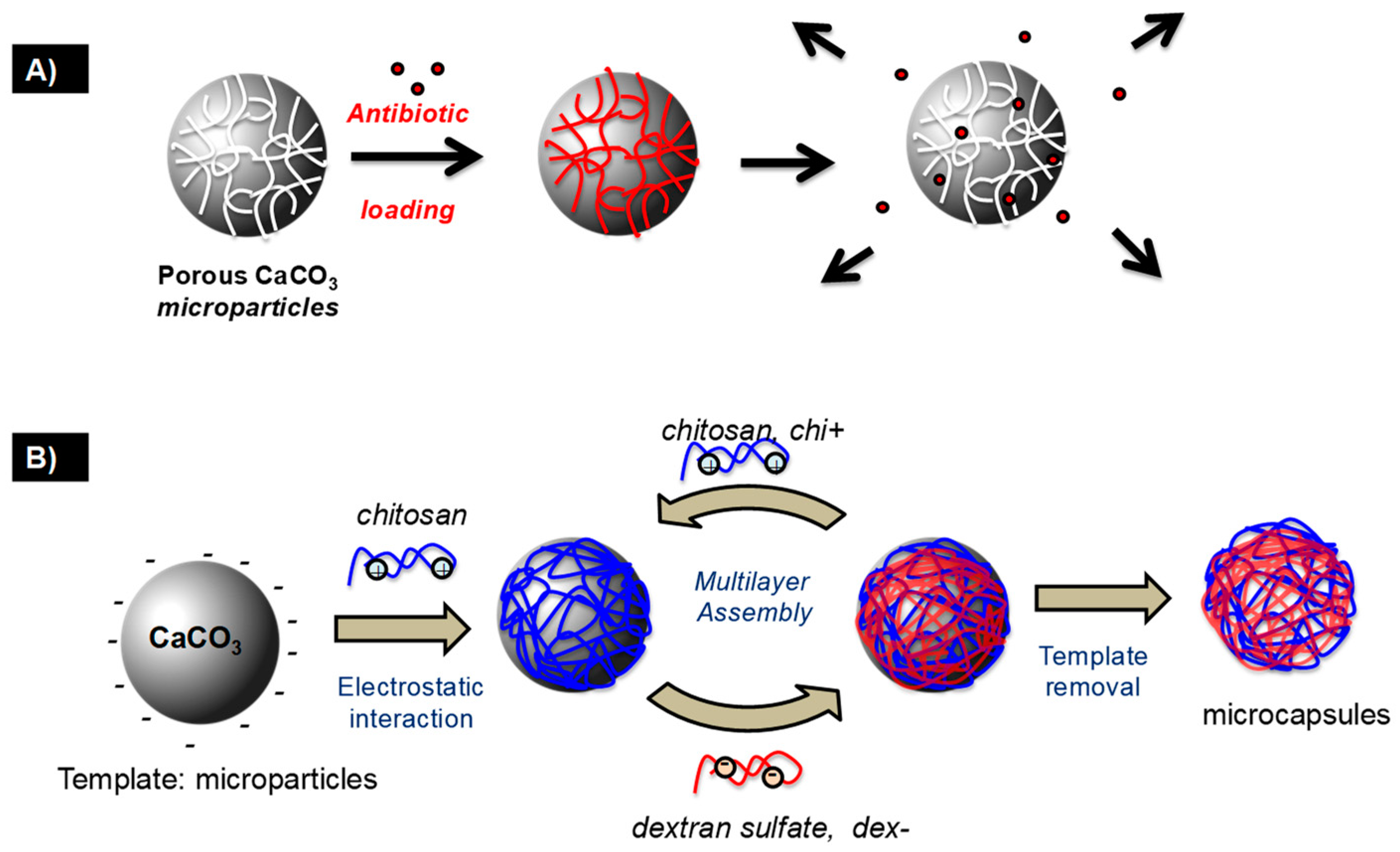 Pharmaceutics 15 01718 g001 Pharmaceutics 15 01718 g001