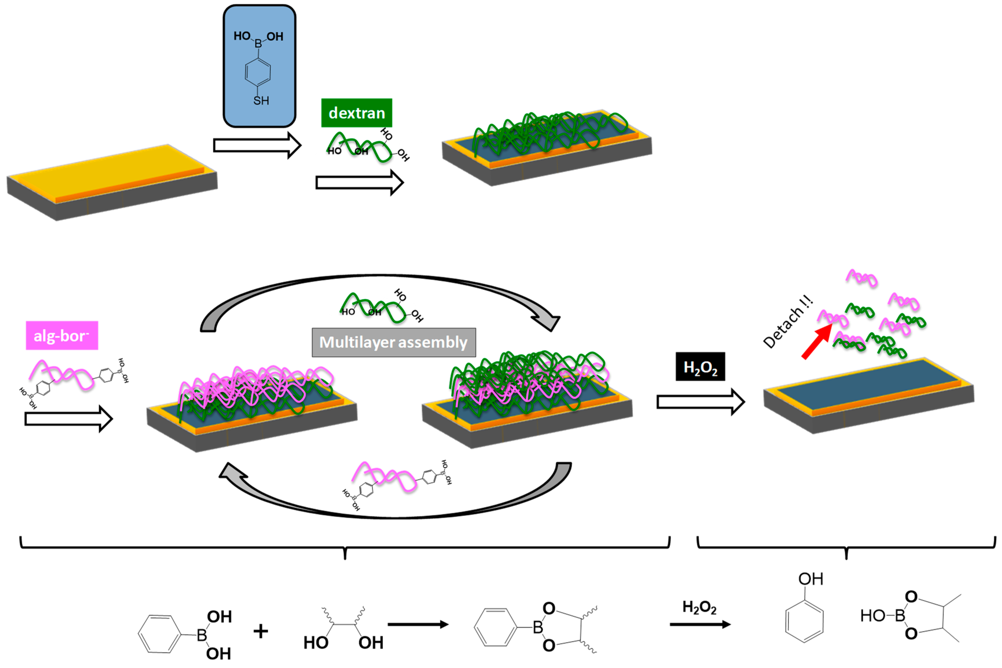 Pharmaceutics 15 01718 g002 Pharmaceutics 15 01718 g002