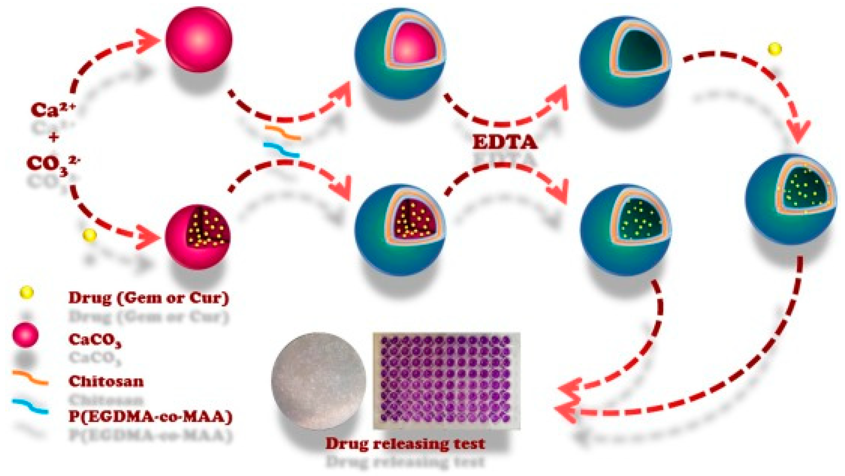 Pharmaceutics 15 01718 g007 Pharmaceutics 15 01718 g007