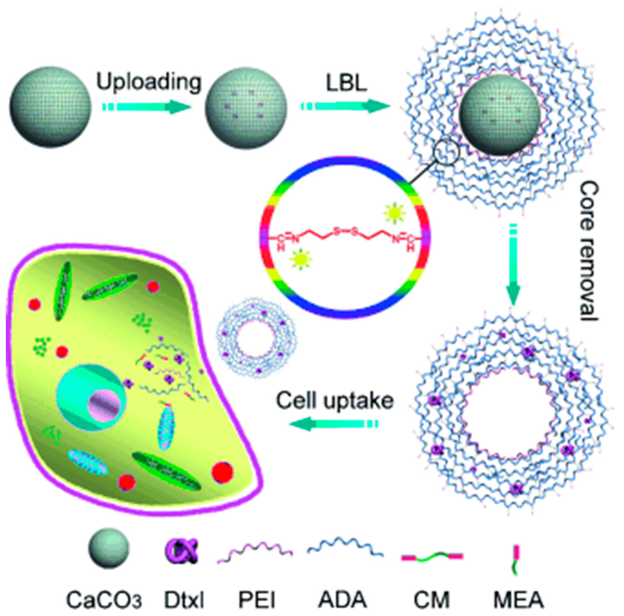 Pharmaceutics 15 01718 g009 Pharmaceutics 15 01718 g009