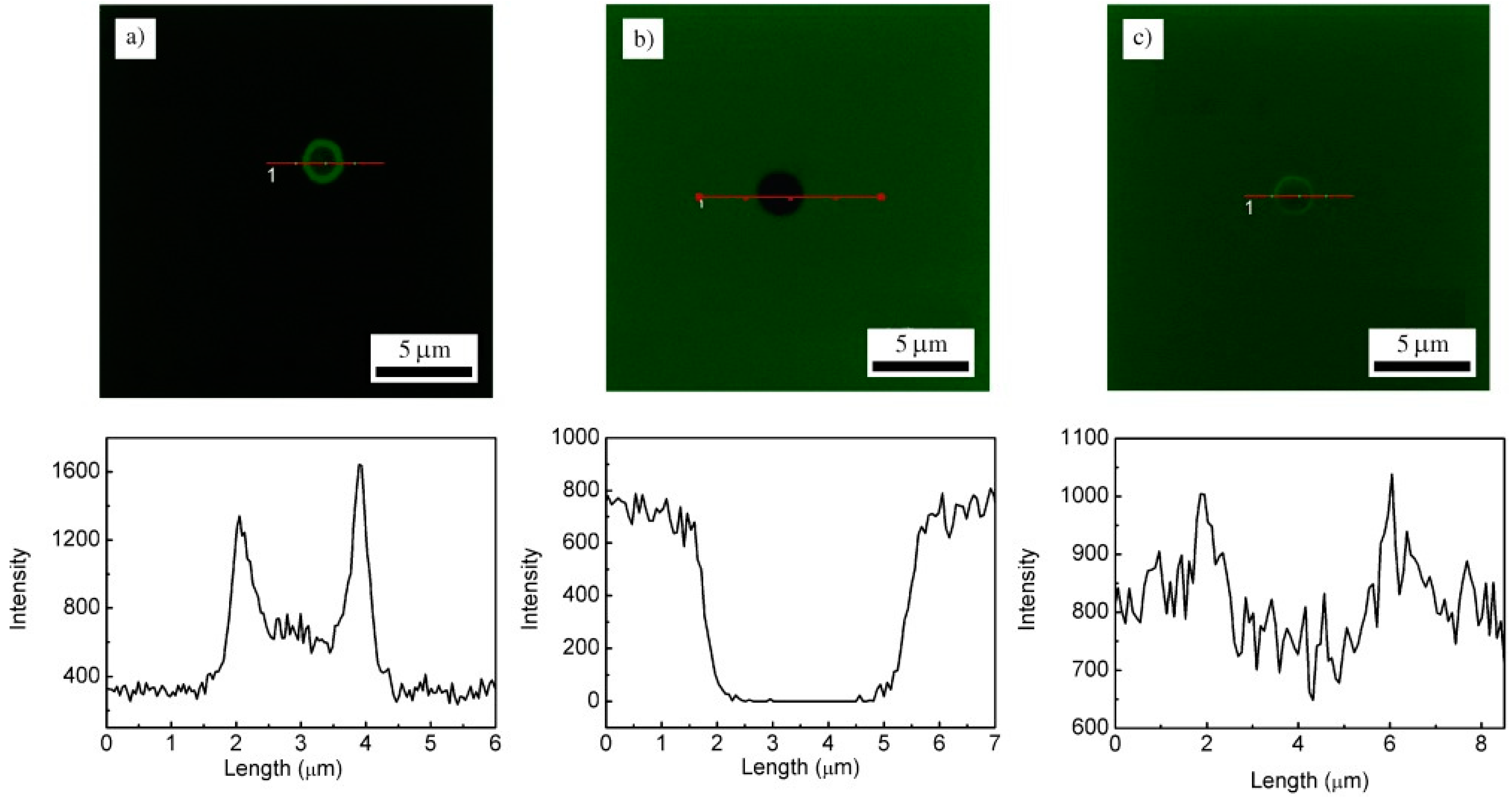 Pharmaceutics 15 01718 g010 Pharmaceutics 15 01718 g010