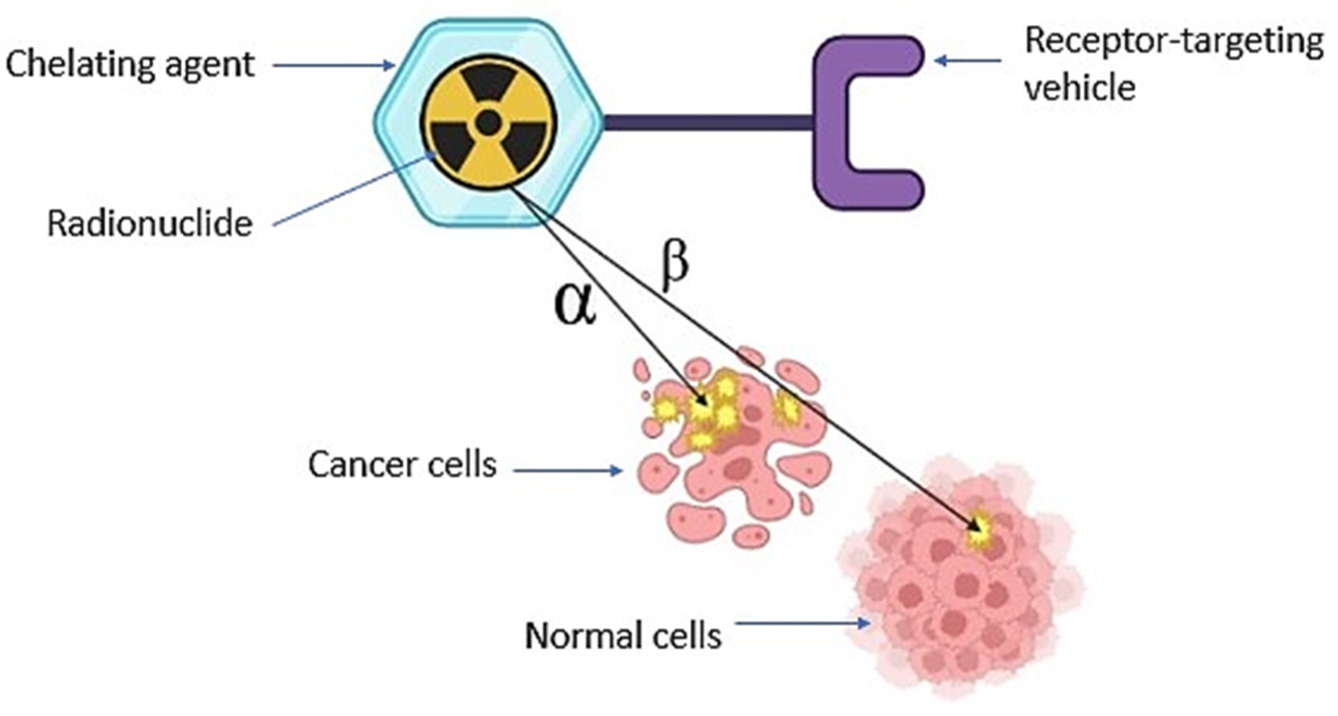 Pharmaceutics 15 01719 g001