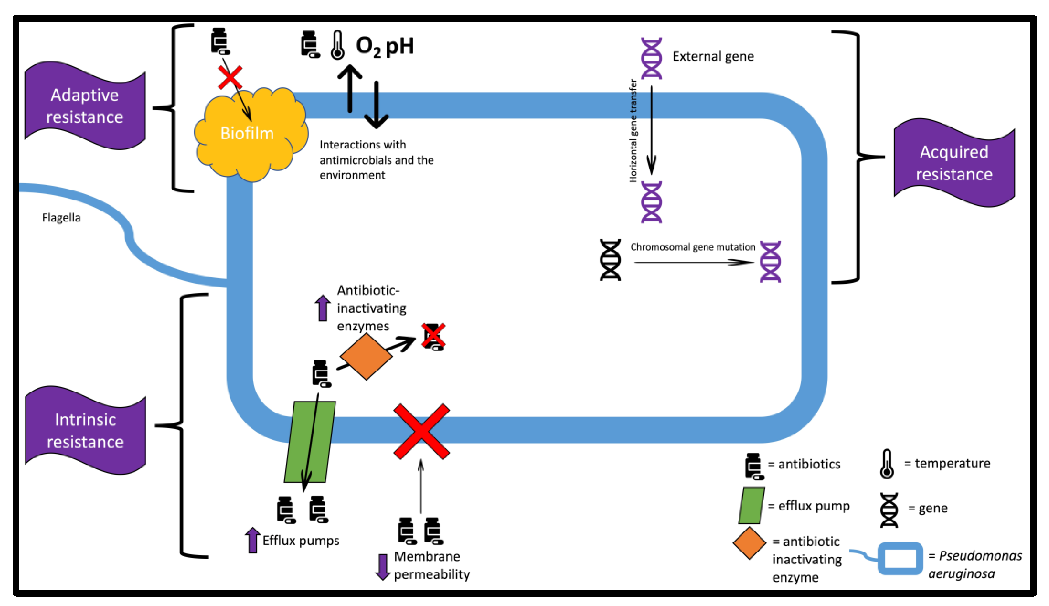 Pharmaceutics 15 01721 g001