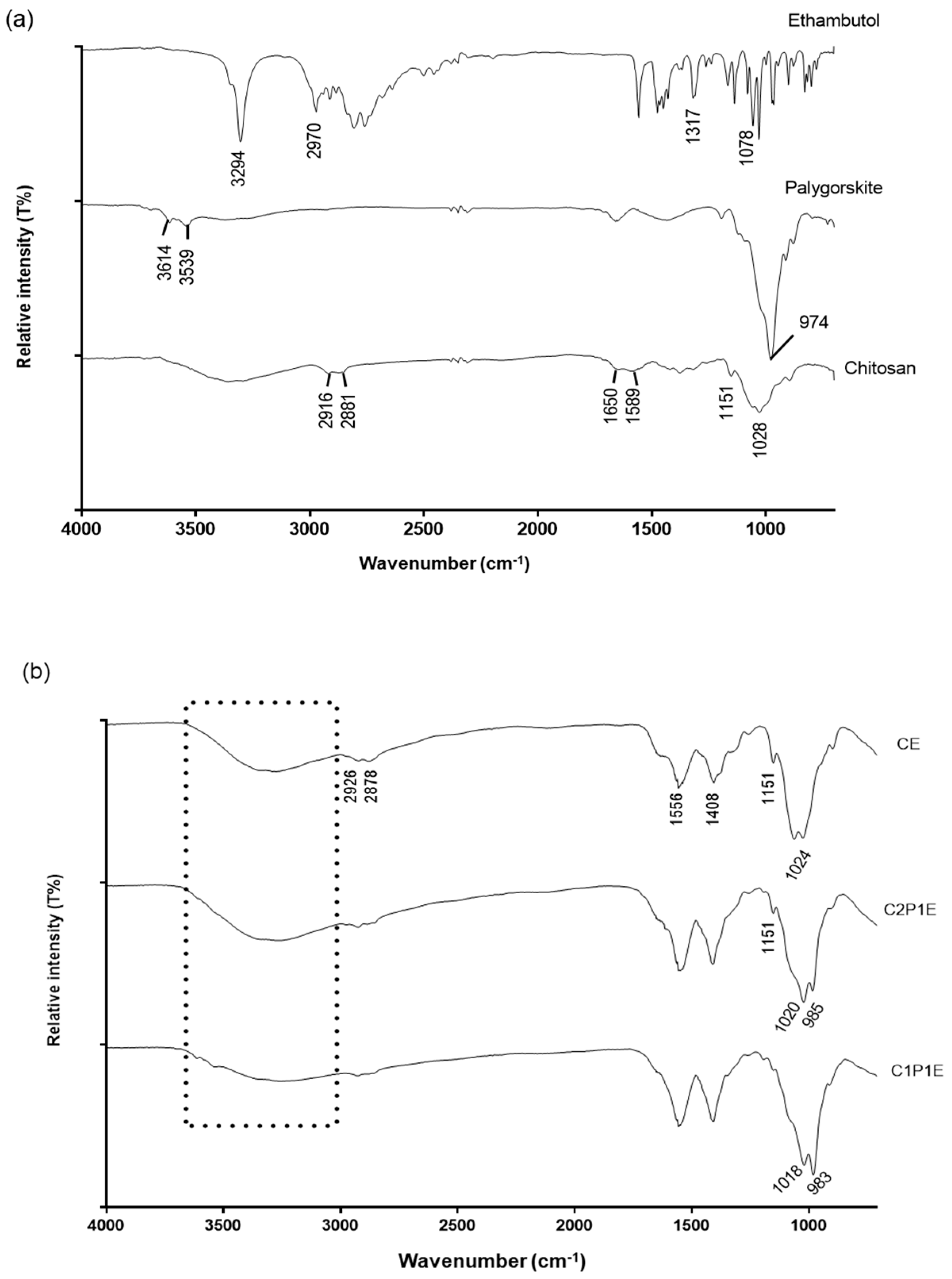 Pharmaceutics 15 01722 g004 Pharmaceutics 15 01722 g004