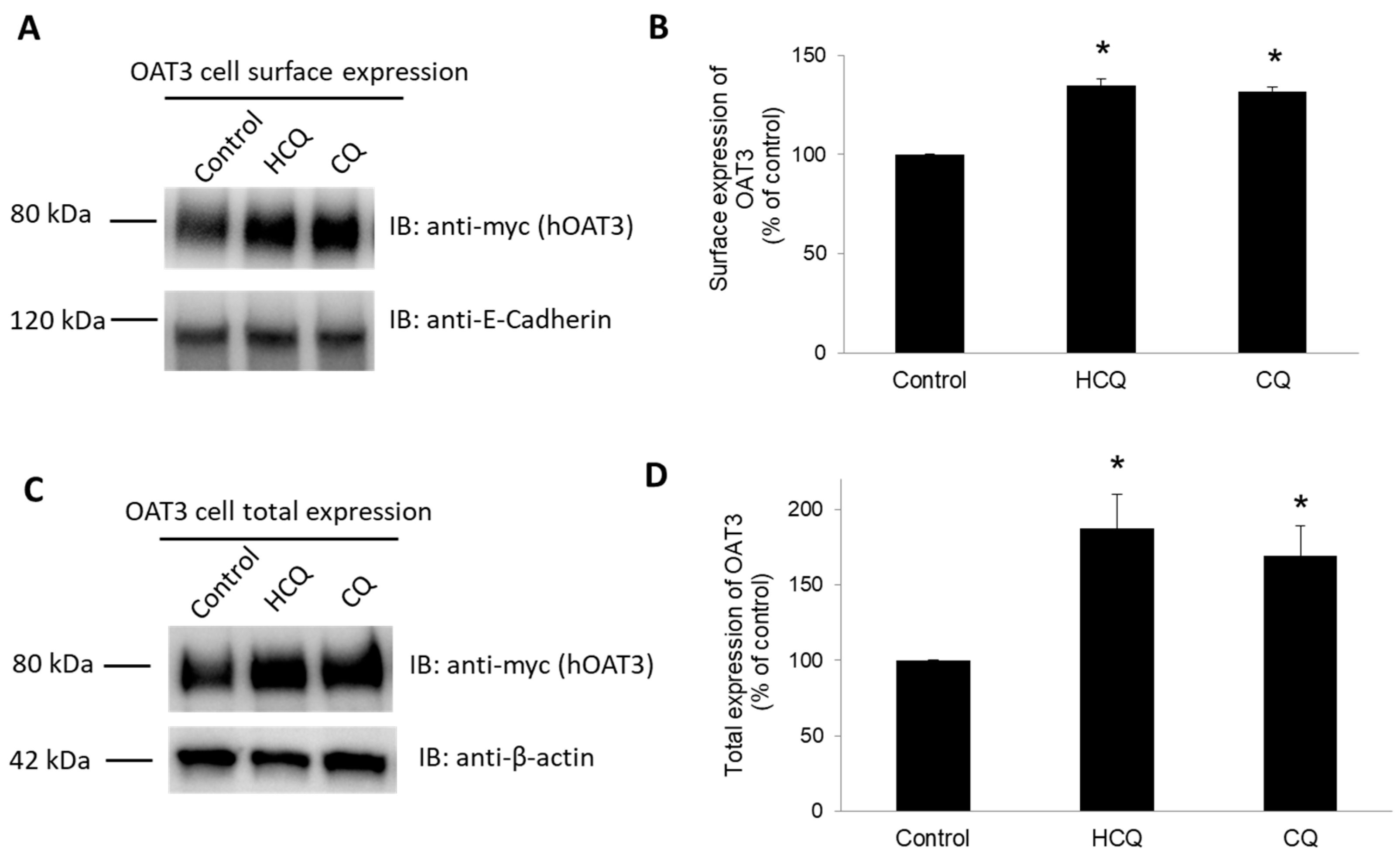 Pharmaceutics 15 01725 g007 Pharmaceutics 15 01725 g007