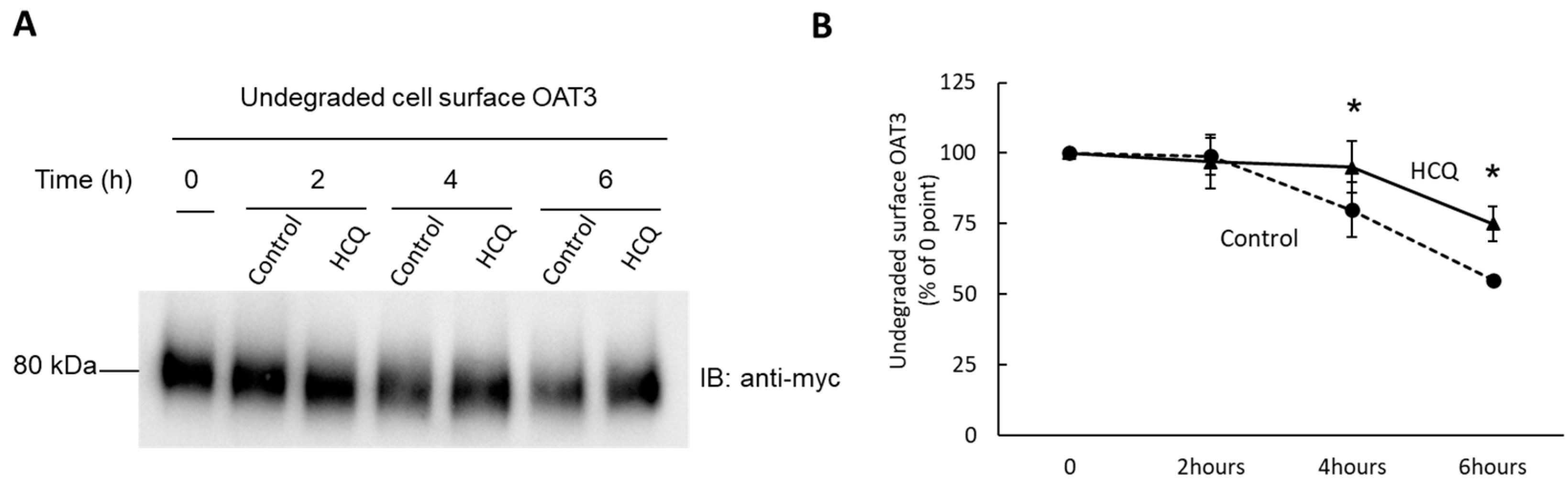 Pharmaceutics 15 01725 g008 Pharmaceutics 15 01725 g008