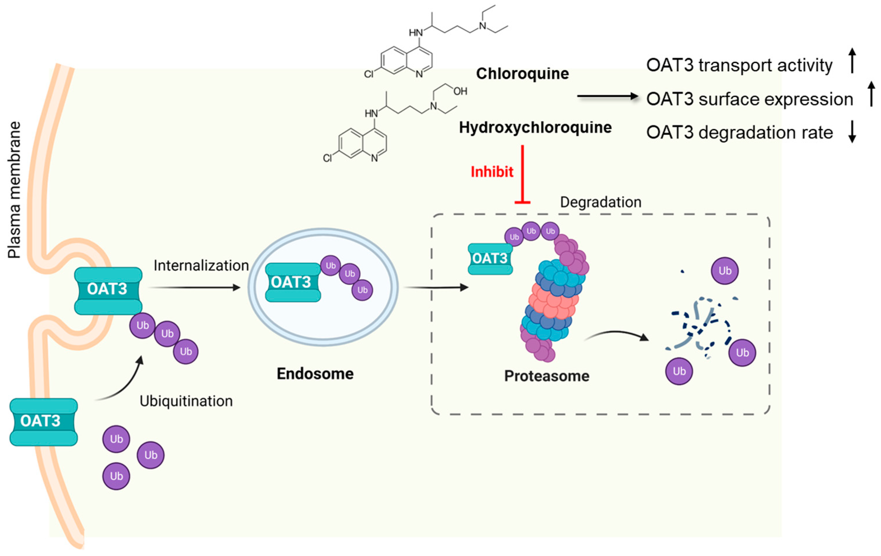Pharmaceutics 15 01725 g009 Pharmaceutics 15 01725 g009