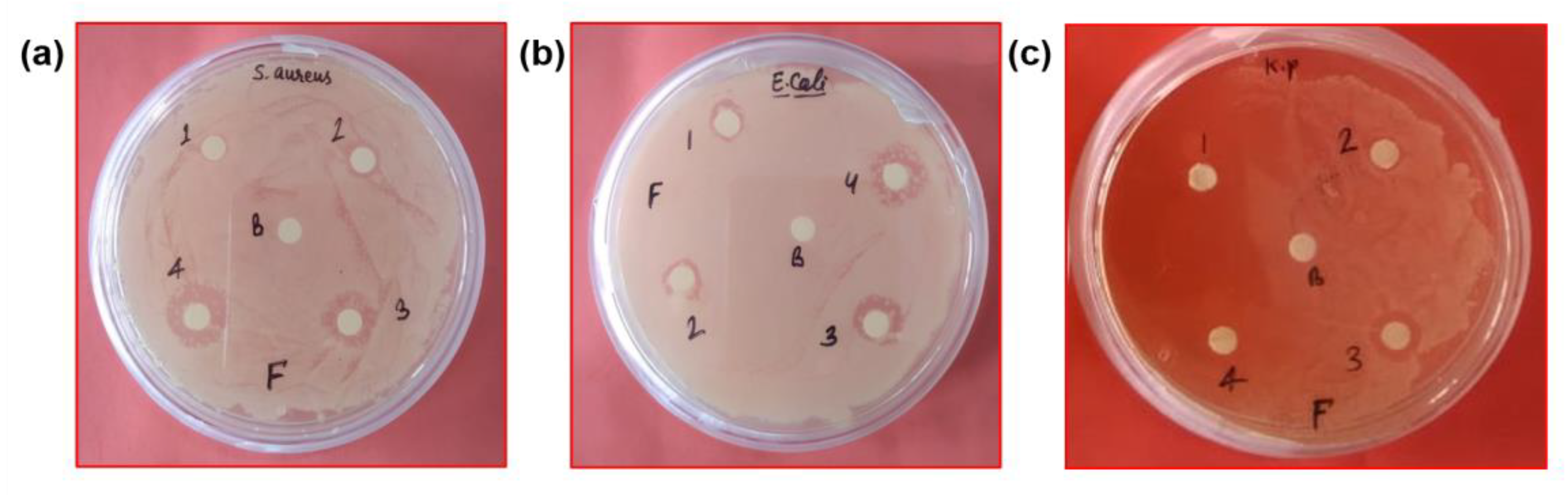 Pharmaceutics 15 01726 g007 Pharmaceutics 15 01726 g007