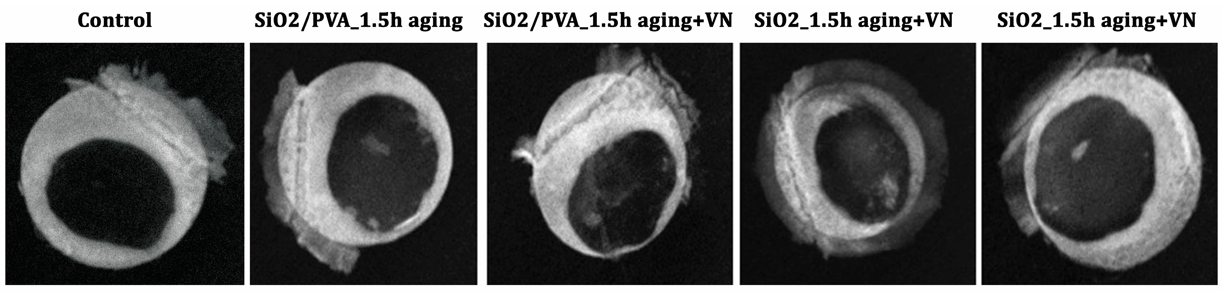 Pharmaceutics 15 01728 g006 Pharmaceutics 15 01728 g006