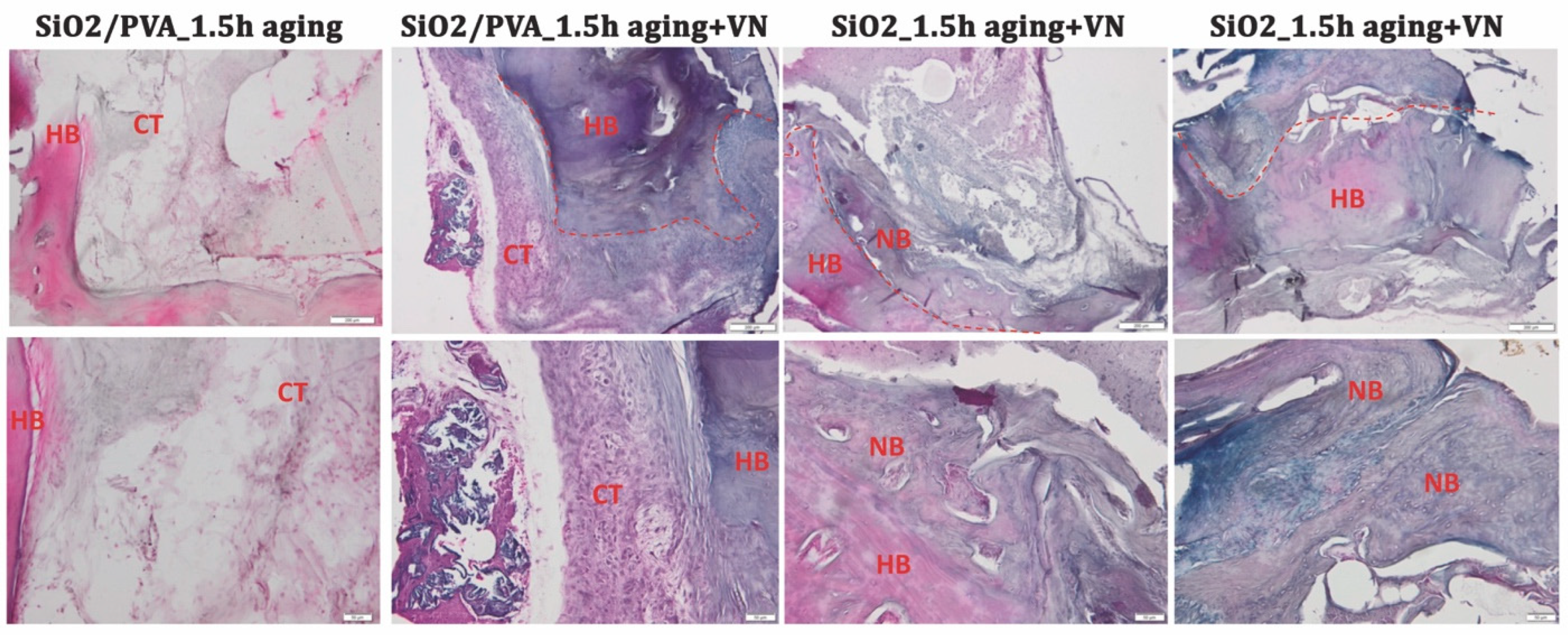 Pharmaceutics 15 01728 g007 Pharmaceutics 15 01728 g007